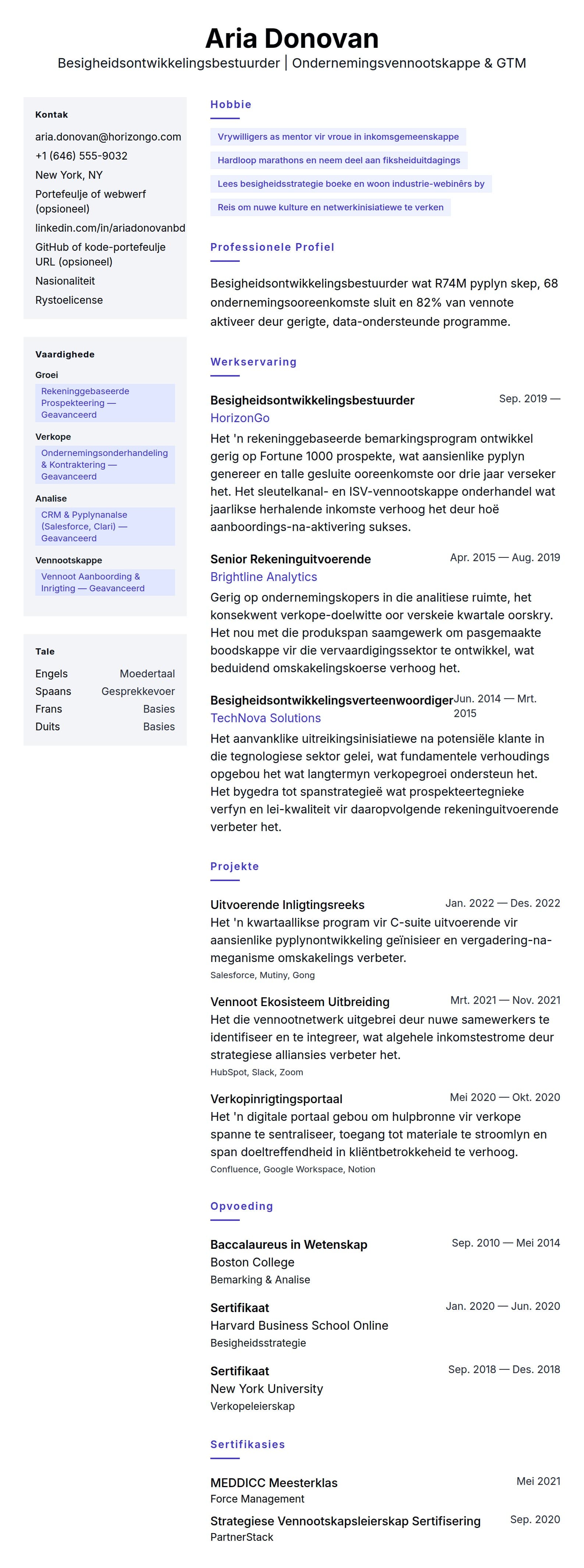 Leweensbeskrywing-vooruitskouk vir Besigheidsontwikkelingsbestuurder Lewensloopvoorbeeld