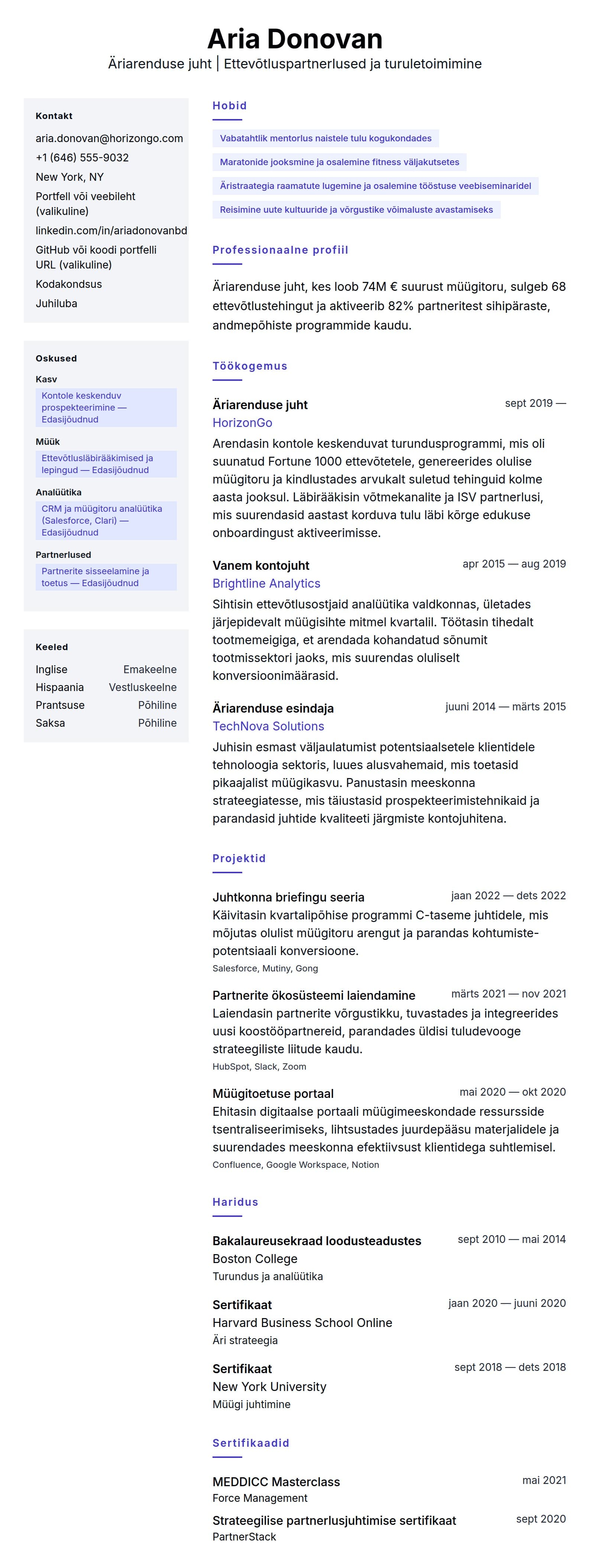 CV eelvaade Äriarenduse juhi CV näide jaoks