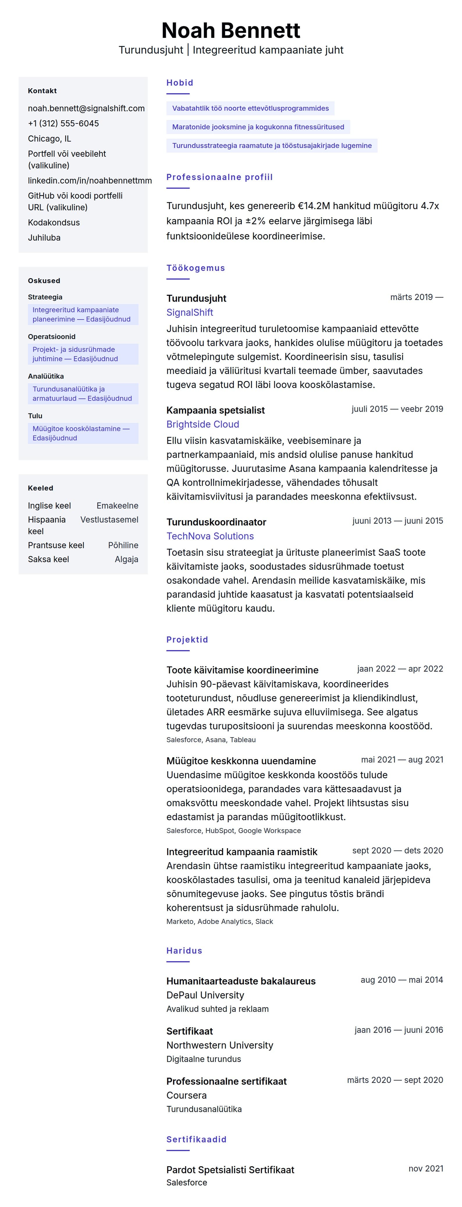 CV eelvaade Turundusjuhti CV näidis jaoks