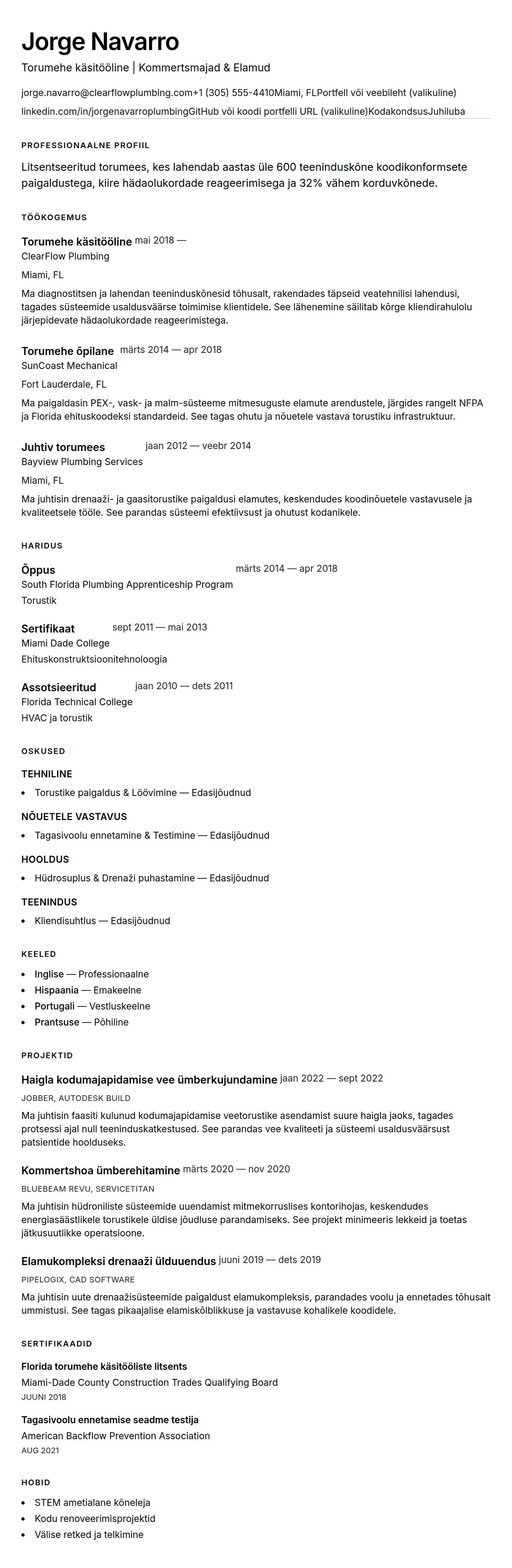 CV eelvaade Torumehe CV näide jaoks