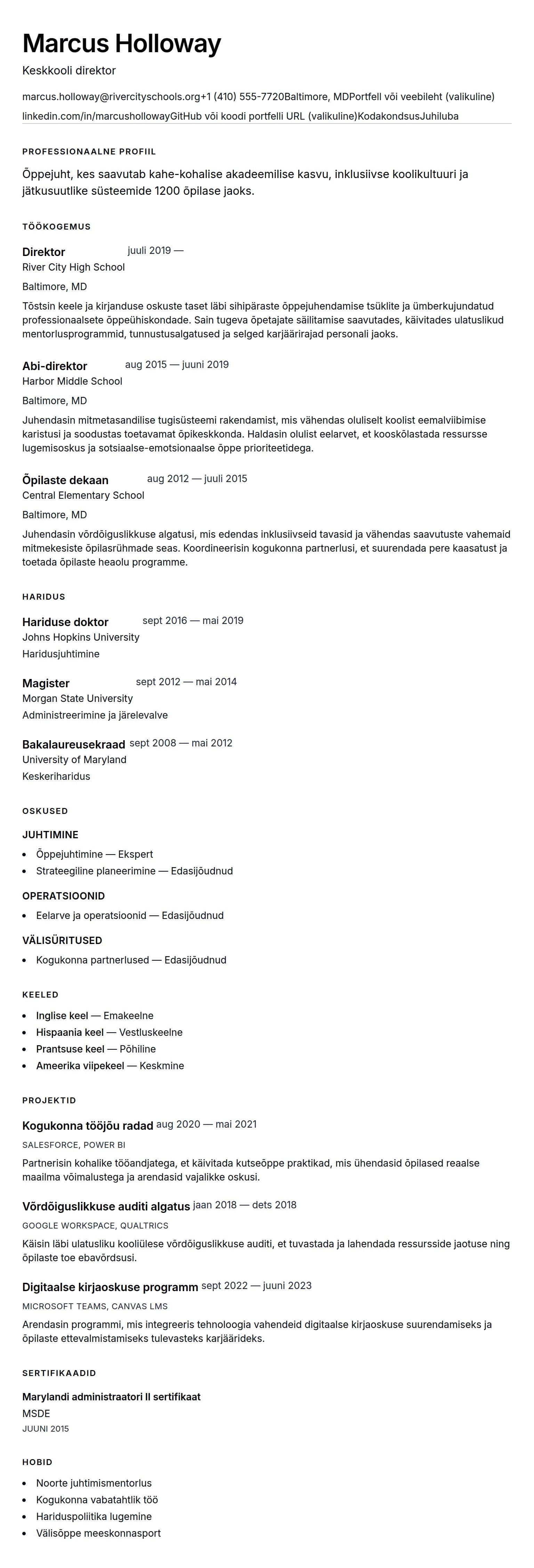 CV eelvaade Direktori CV näide jaoks