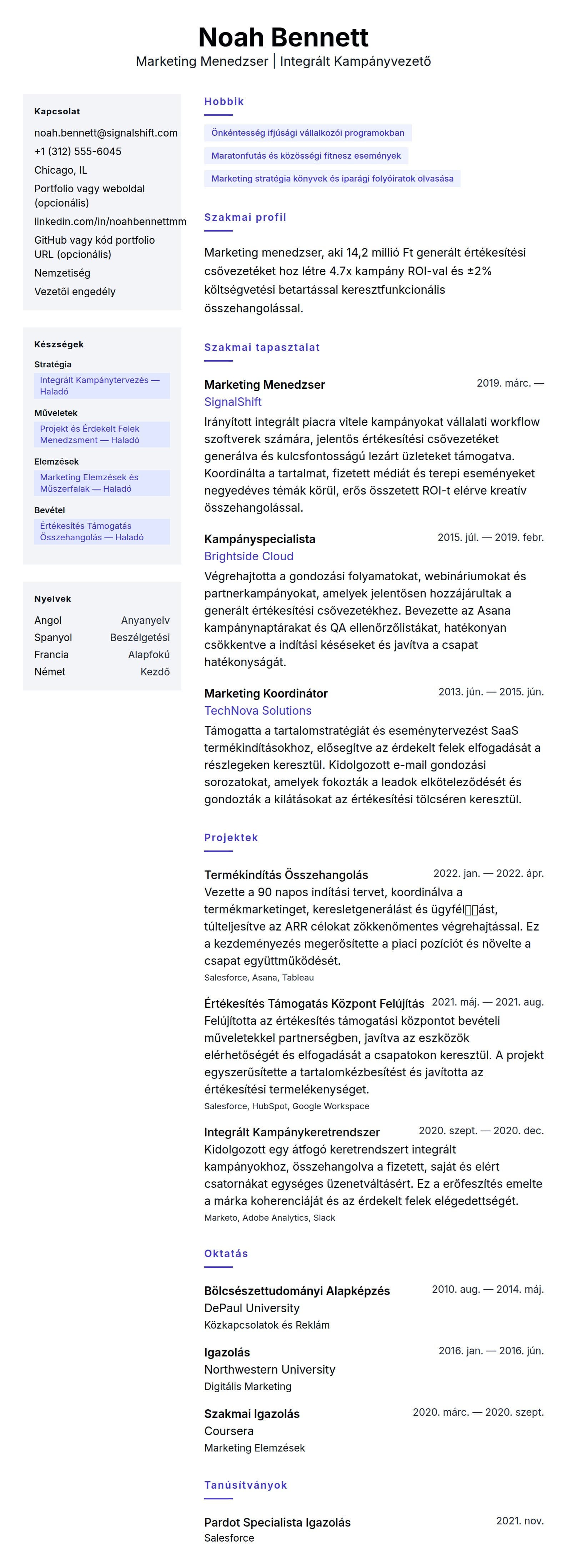 Önéletrajz előnézet ehhez: Marketing Menedzser Önéletrajz Példa