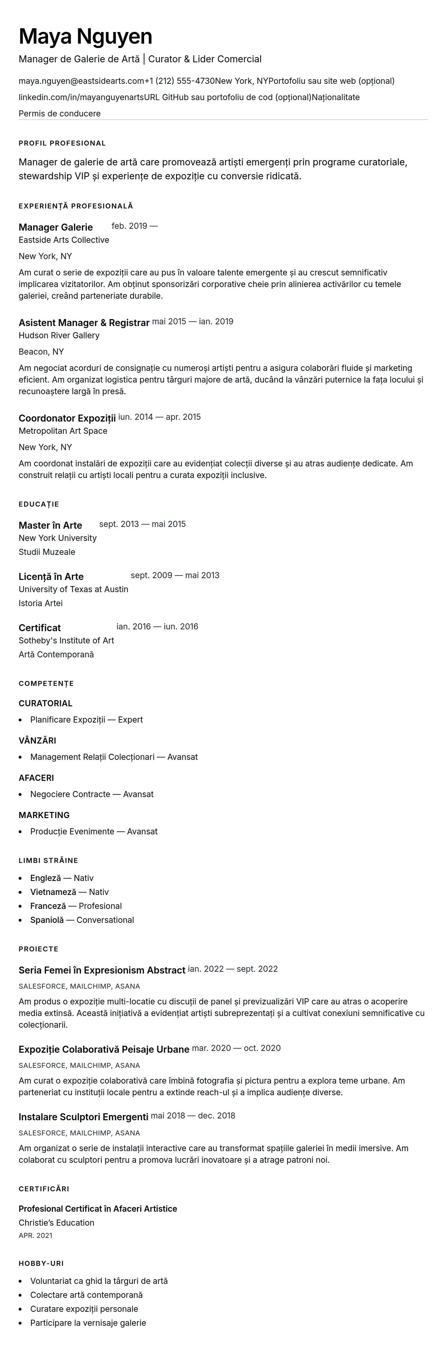 Previzualizare CV pentru Exemplu de CV pentru Manager de Galerie de Artă