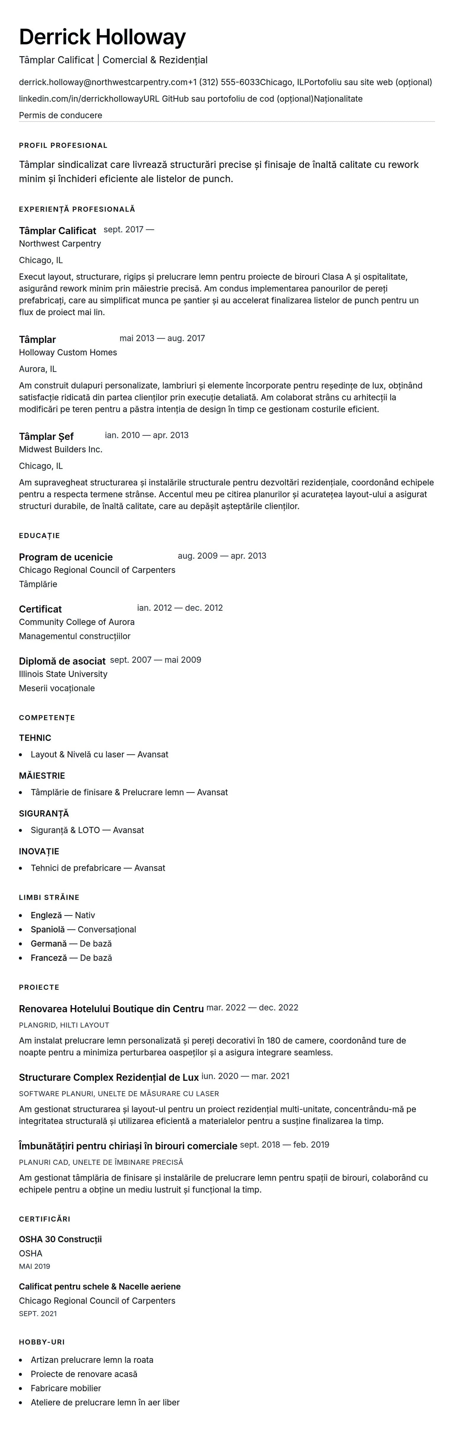 Previzualizare CV pentru Exemplu de CV pentru Tâmplar