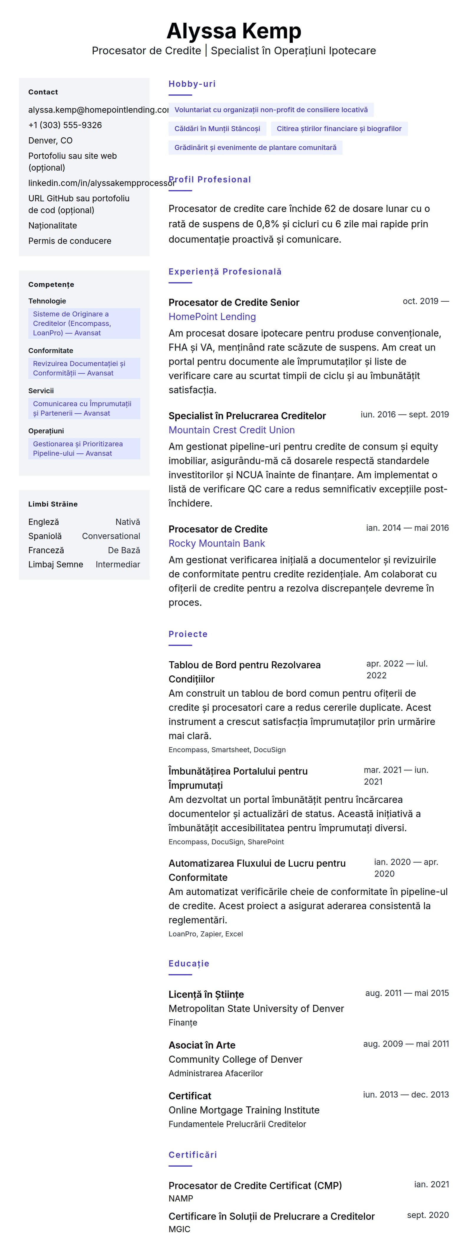 Previzualizare CV pentru Exemplu de CV pentru Procesator de Credite
