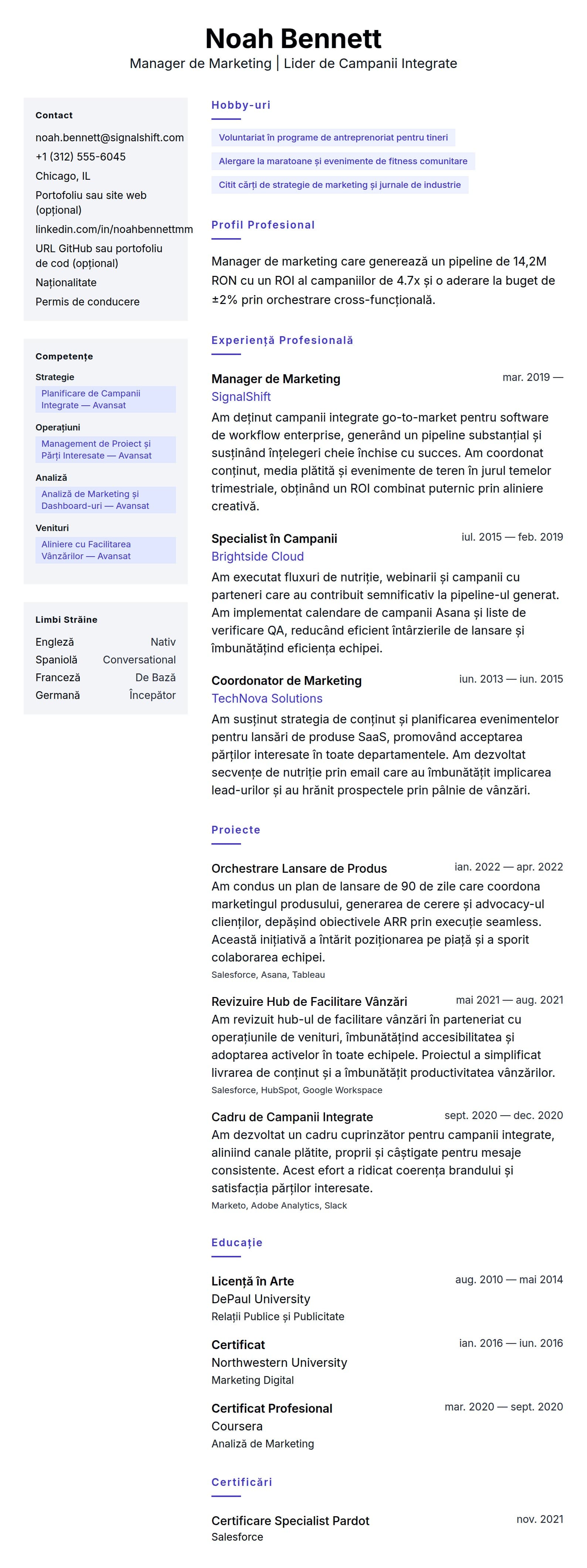 Previzualizare CV pentru Exemplu de CV pentru Manager de Marketing