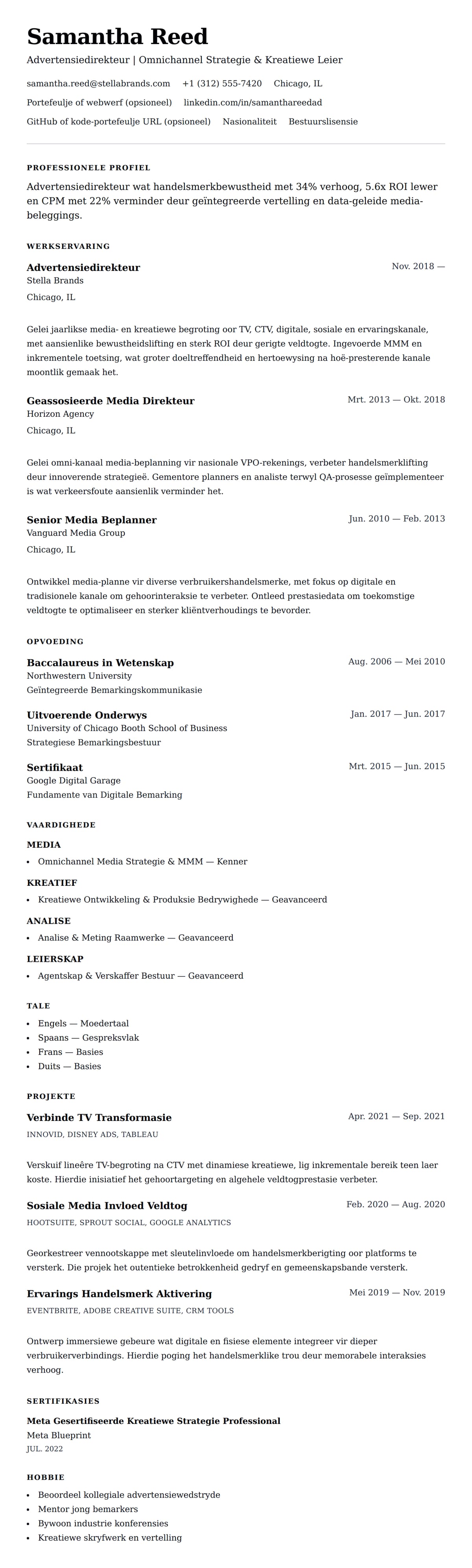 Leweensbeskrywing-vooruitskouk vir Advertensiedirekteur Lewensloopvoorbeeld