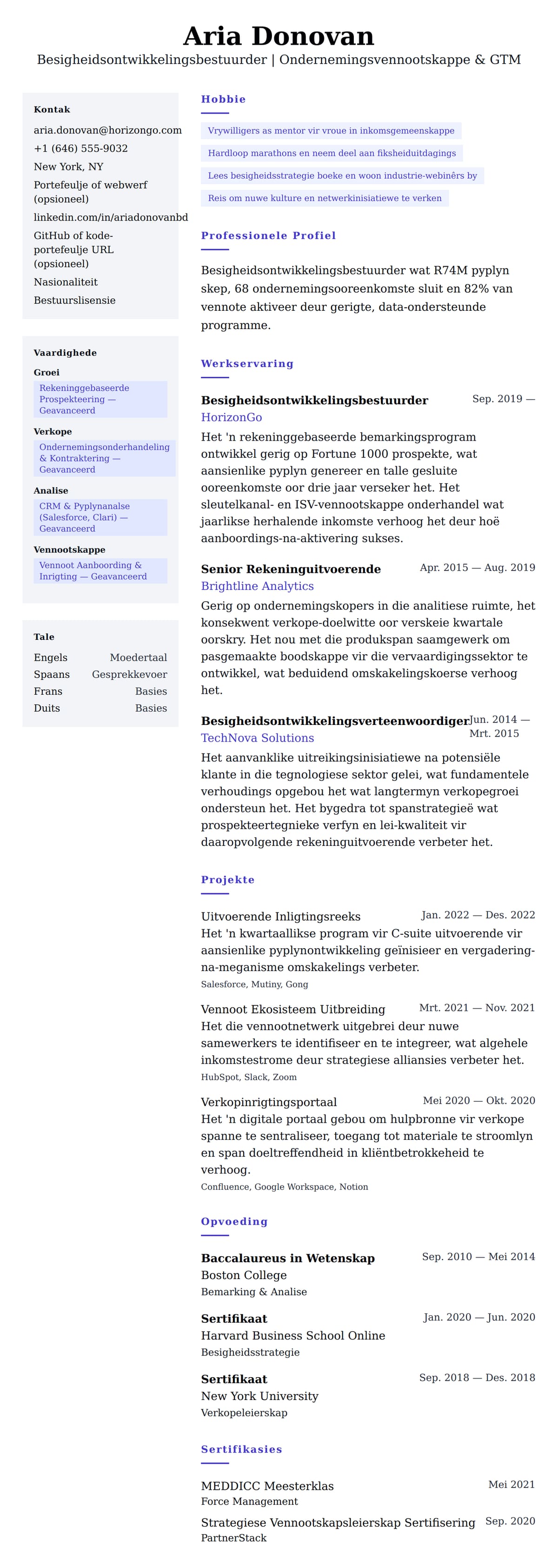 Leweensbeskrywing-vooruitskouk vir Besigheidsontwikkelingsbestuurder Lewensloopvoorbeeld