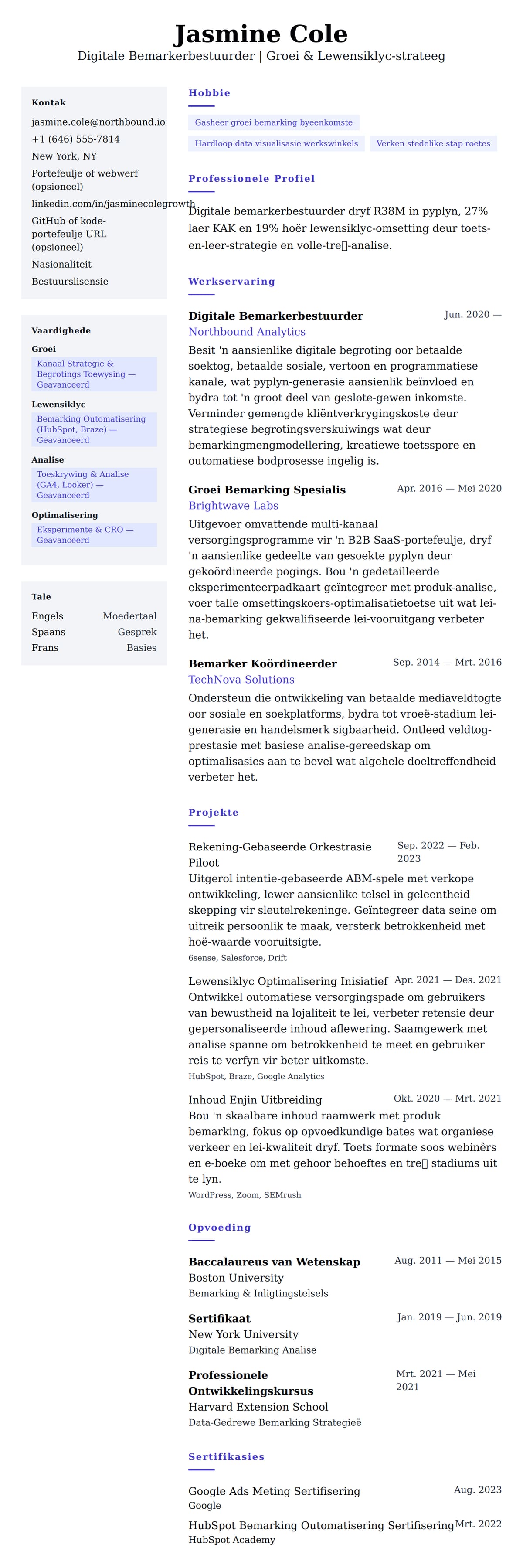 Leweensbeskrywing-vooruitskouk vir Digitale Bemarkerbestuurder Lêer Voorbeeld
