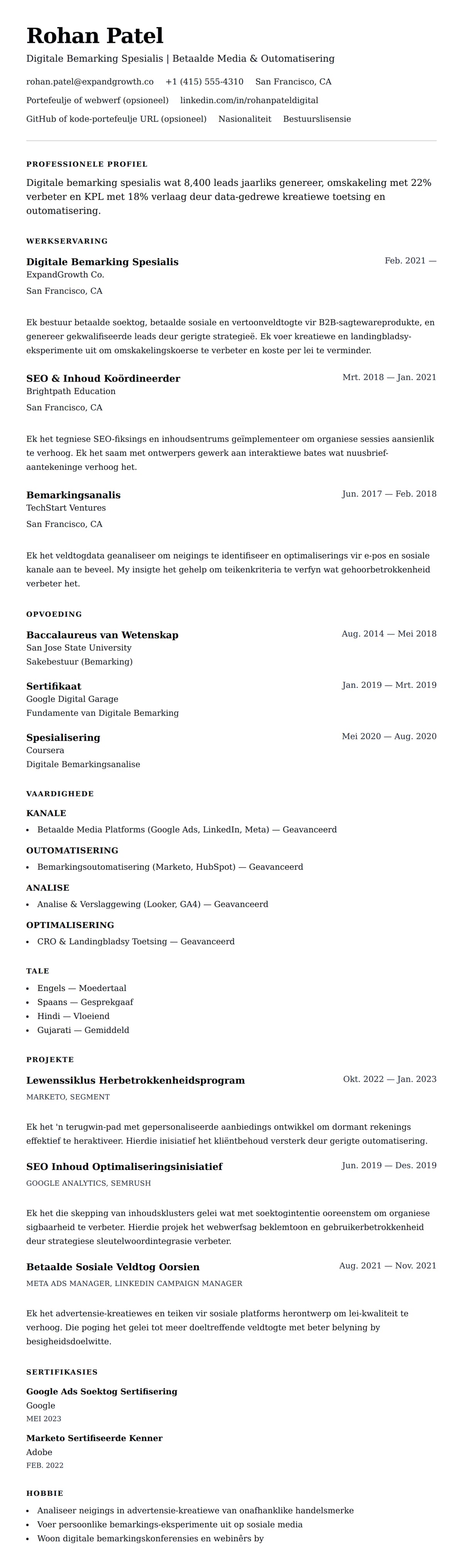 Leweensbeskrywing-vooruitskouk vir Digitale Bemarking Spesialis Lewensloop Voorbeeld