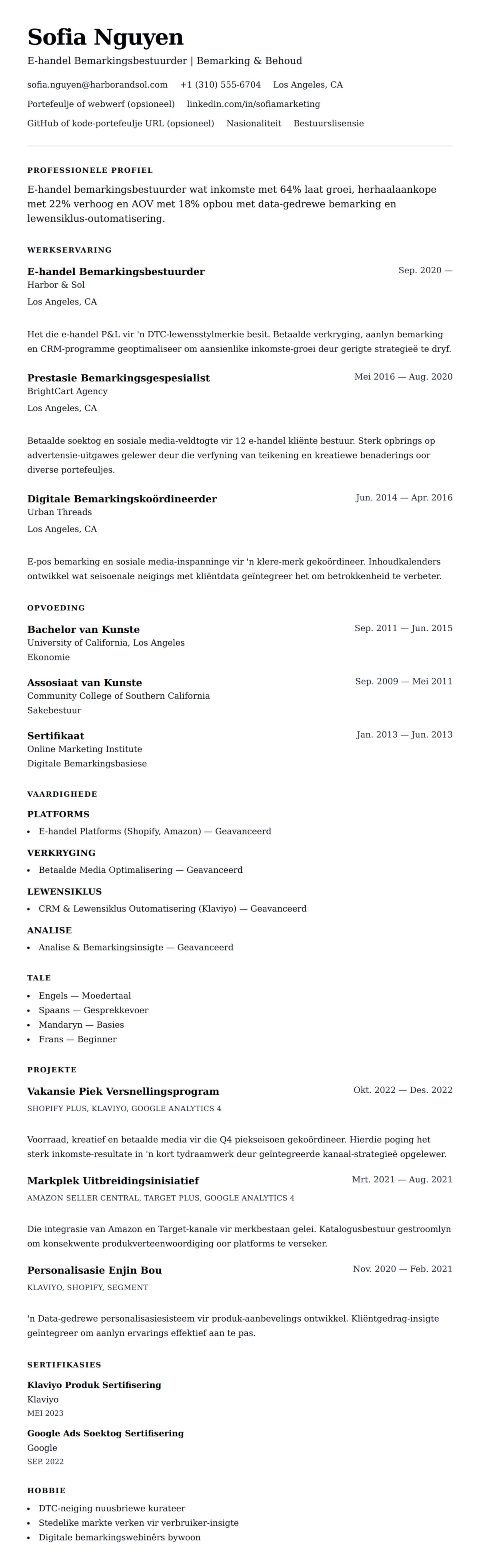 Leweensbeskrywing-vooruitskouk vir E-handel Bemarkingsbestuurder Lêer Voorbeeld