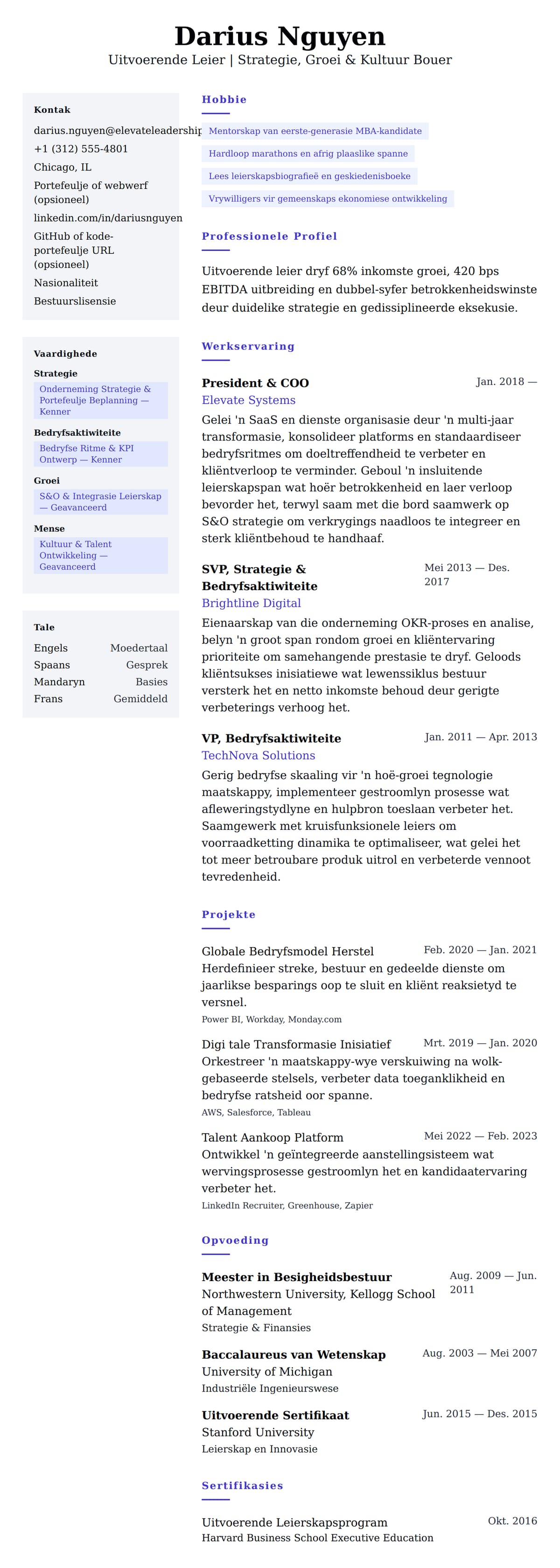 Leweensbeskrywing-vooruitskouk vir Uitvoerende Leier Lewensloop Voorbeeld