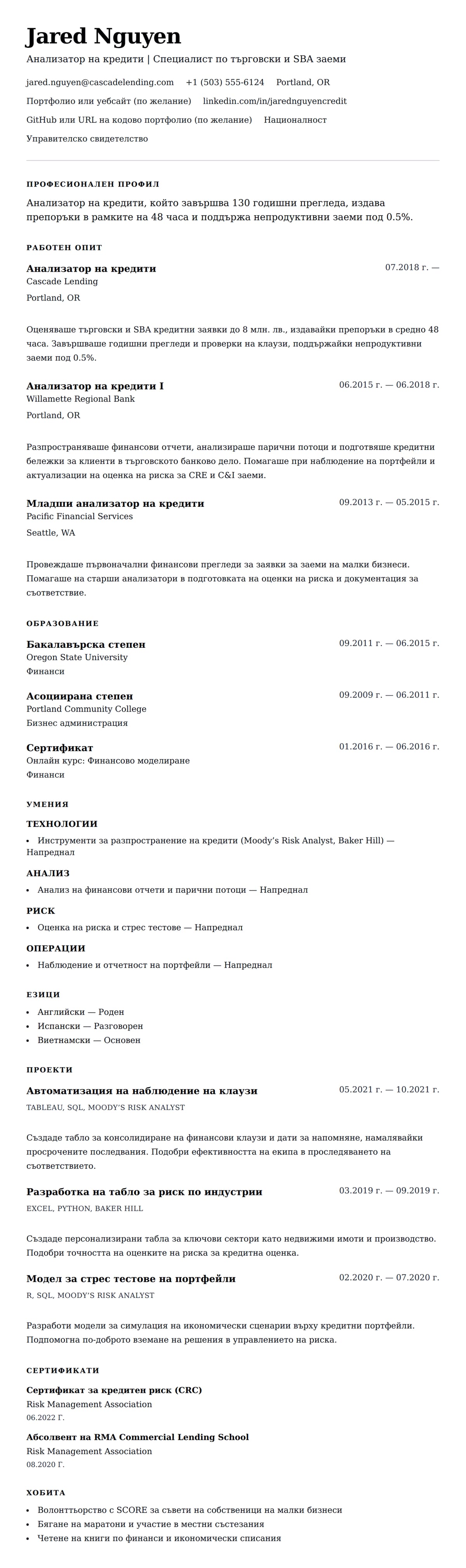 Преглед на резюме за Пример за резюме на анализатор на кредити