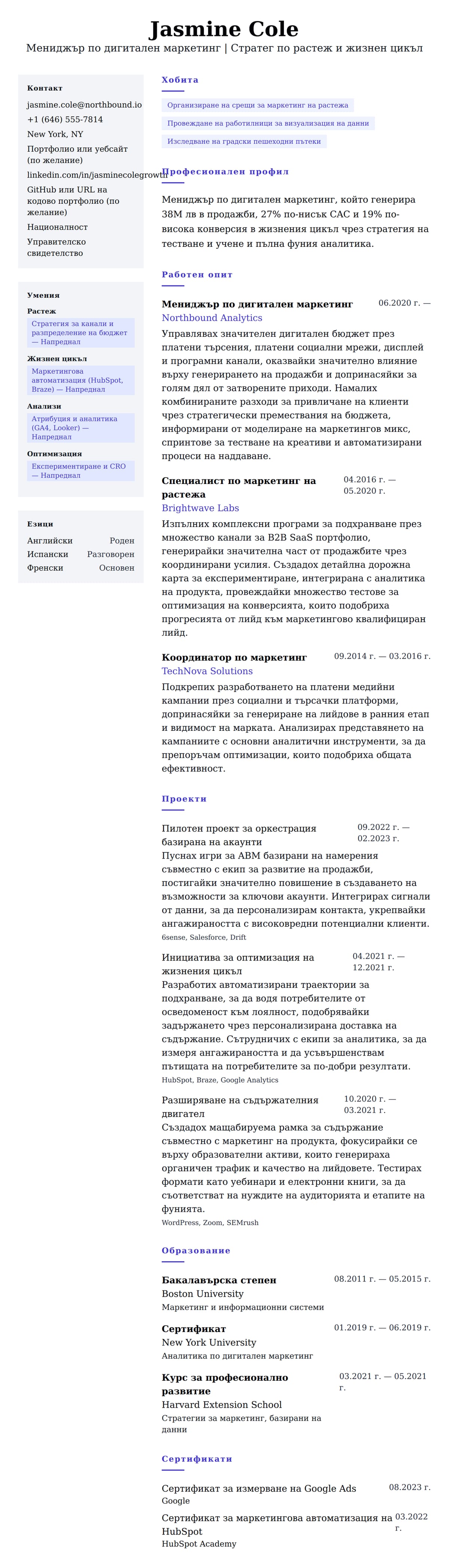 Преглед на резюме за Пример за CV на мениджър по дигитален маркетинг
