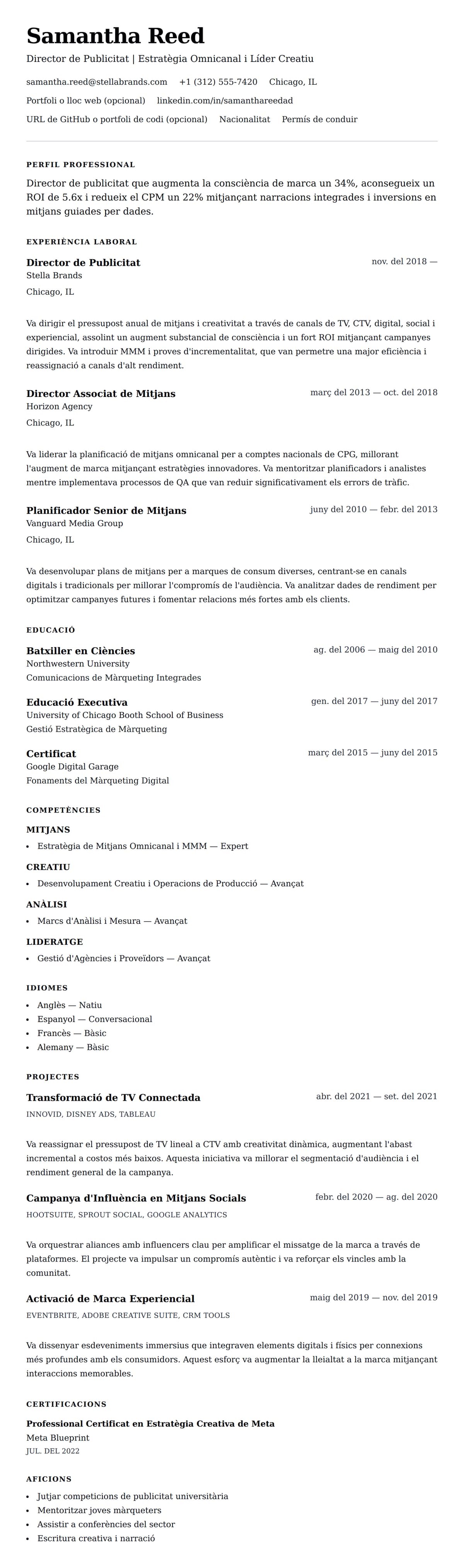 Previsualització del currículum per a Exemple de Currículum de Director de Publicitat