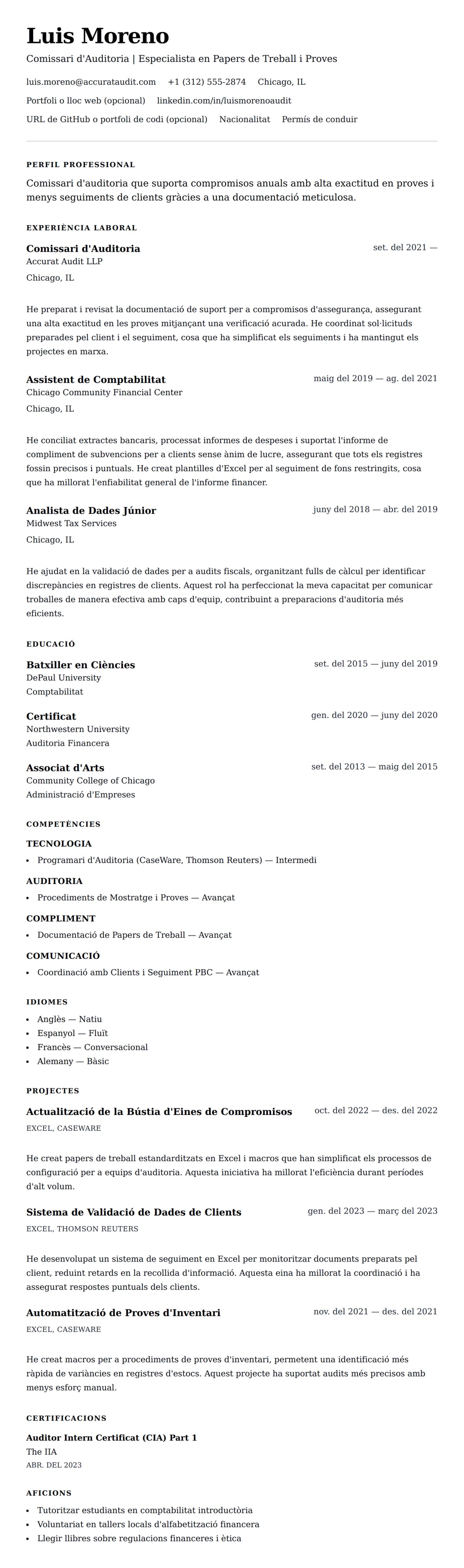 Previsualització del currículum per a Exemple de Currículum de Comissari d'Auditoria
