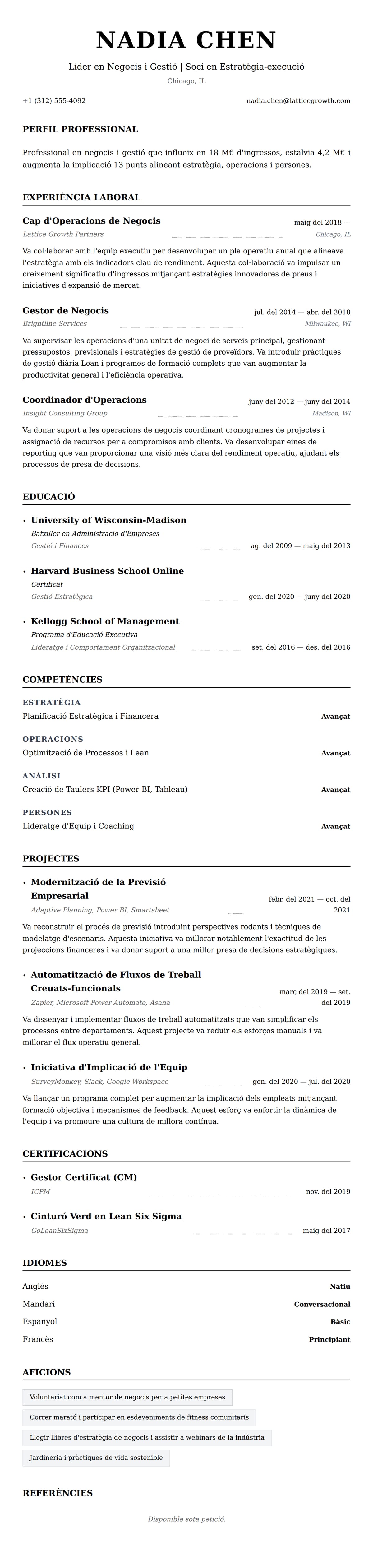 Previsualització del currículum per a Exemple de Currículum de Professional en Negocis i Gestió