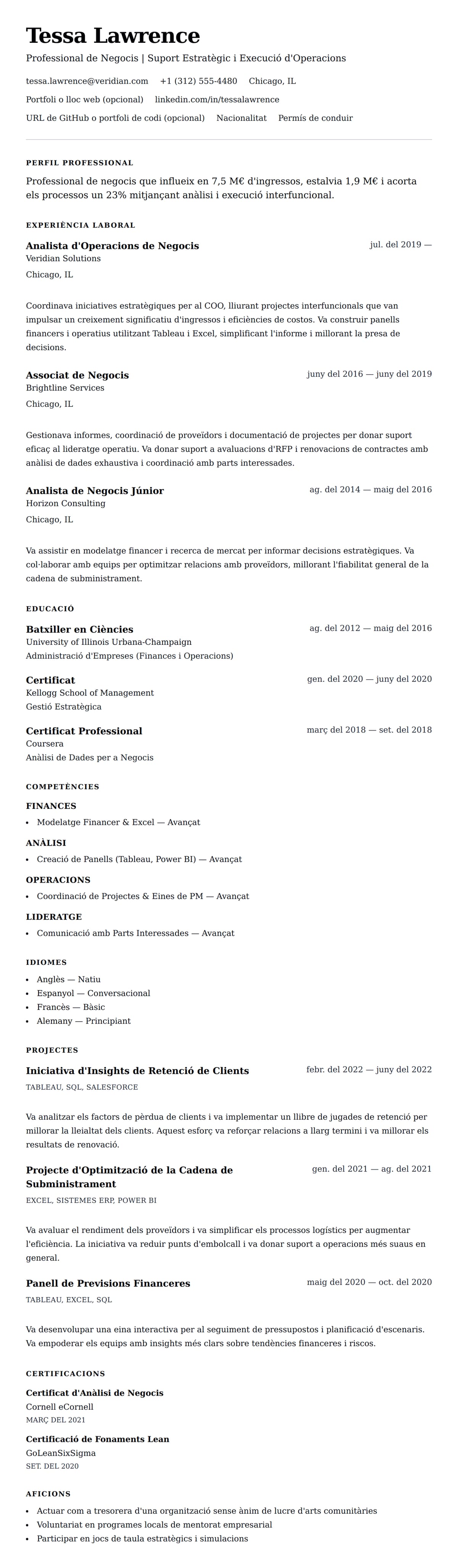 Previsualització del currículum per a Exemple de Currículum de Professional de Negocis