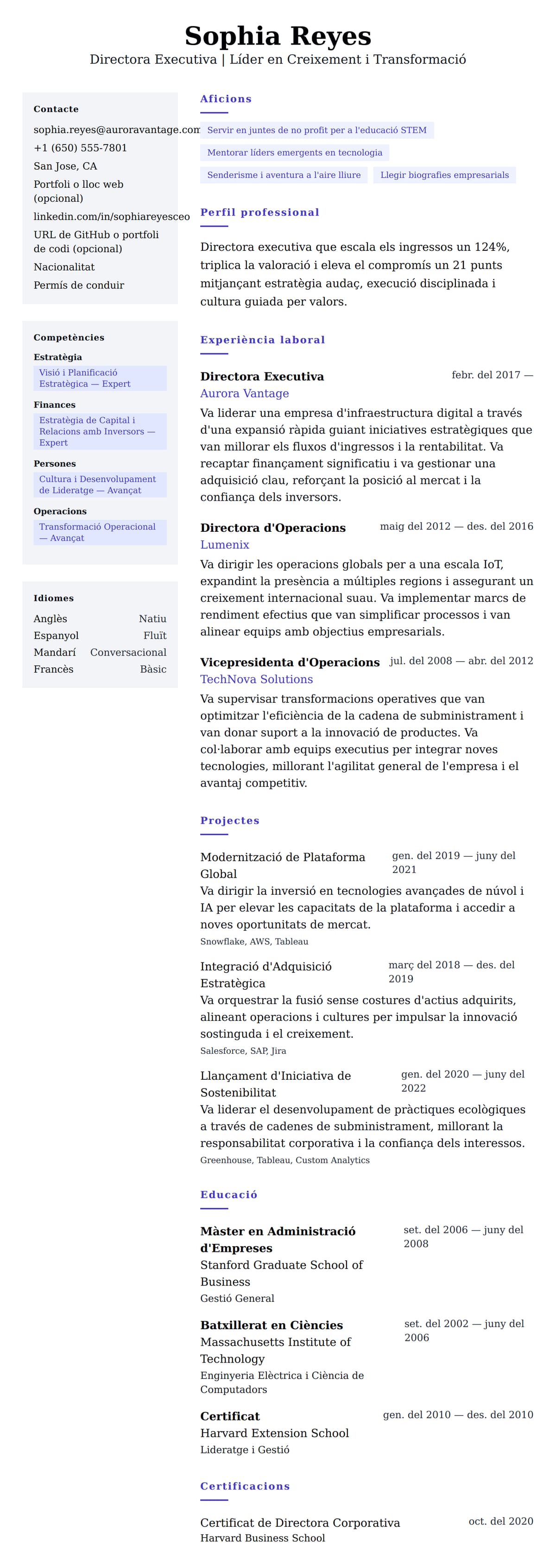 Previsualització del currículum per a Exemple de Currículum de Director Executiu