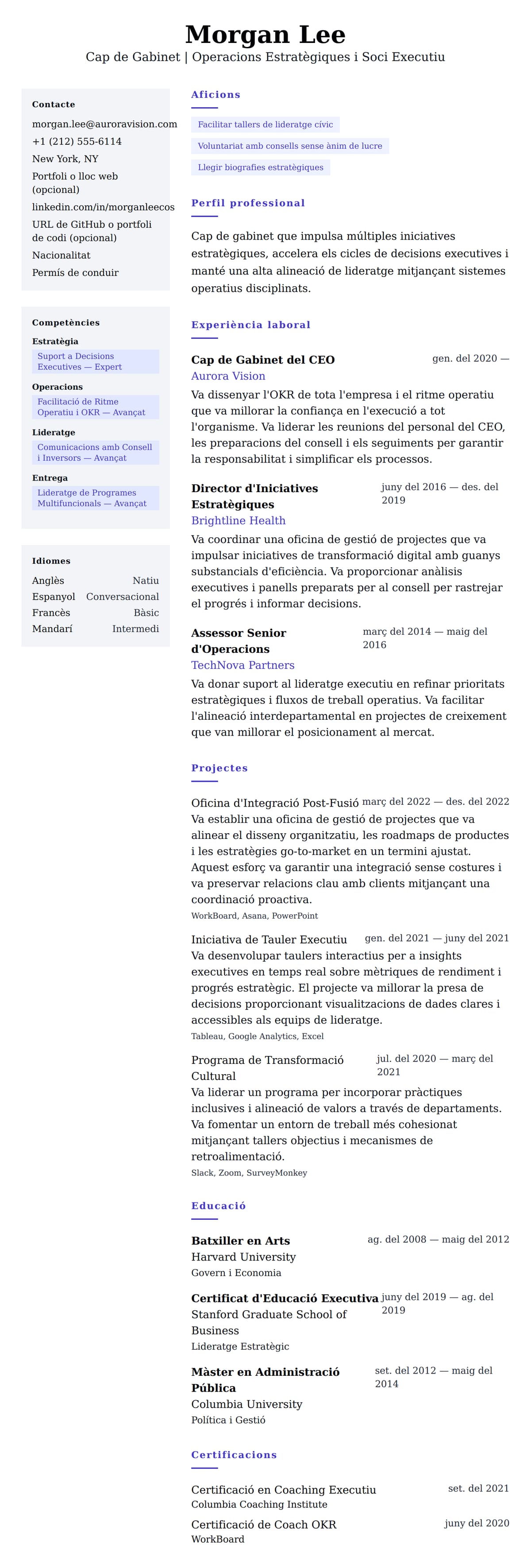 Previsualització del currículum per a Exemple de Currículum de Cap de Gabinet