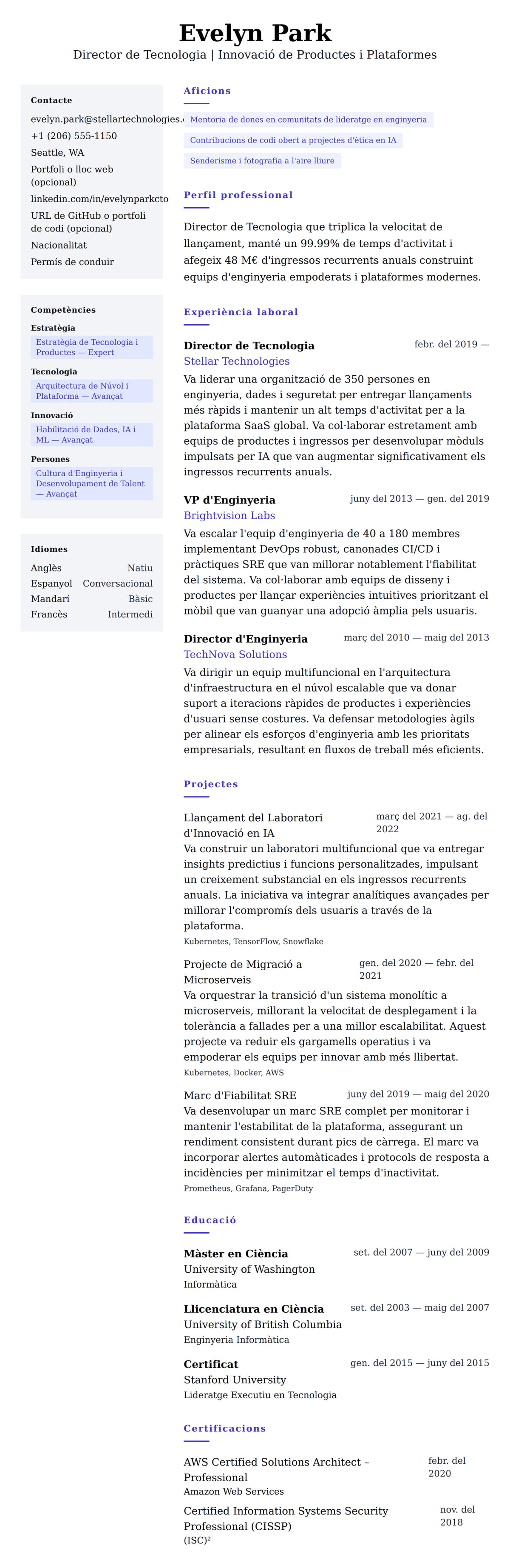 Previsualització del currículum per a Exemple de Currículum de Director de Tecnologia