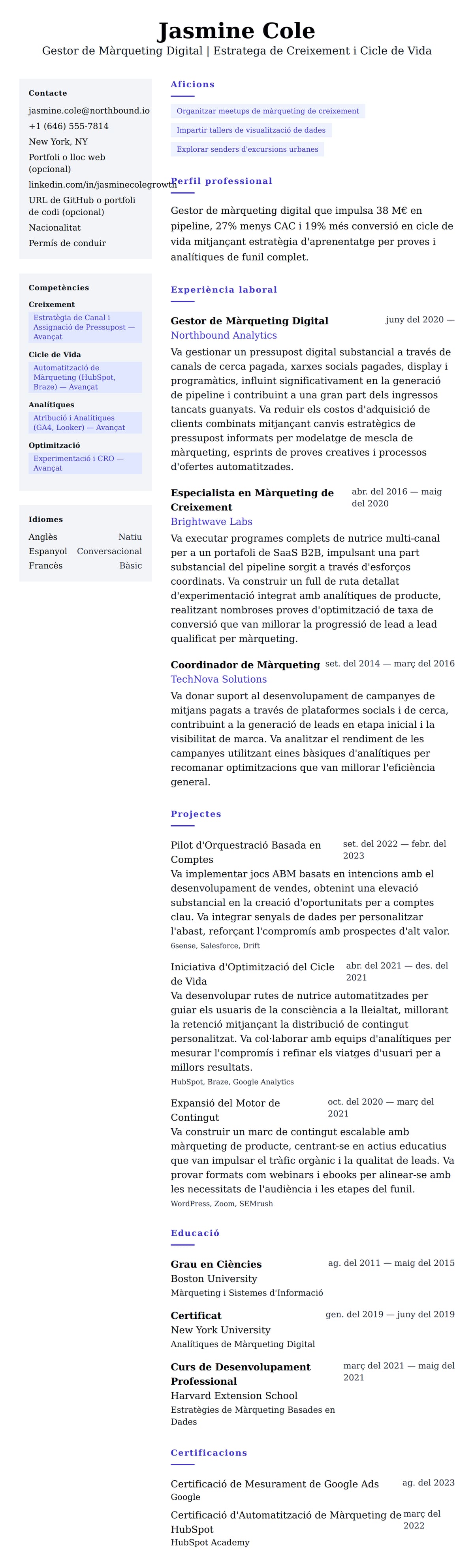 Previsualització del currículum per a Exemple de Currículum de Gestor de Màrqueting Digital