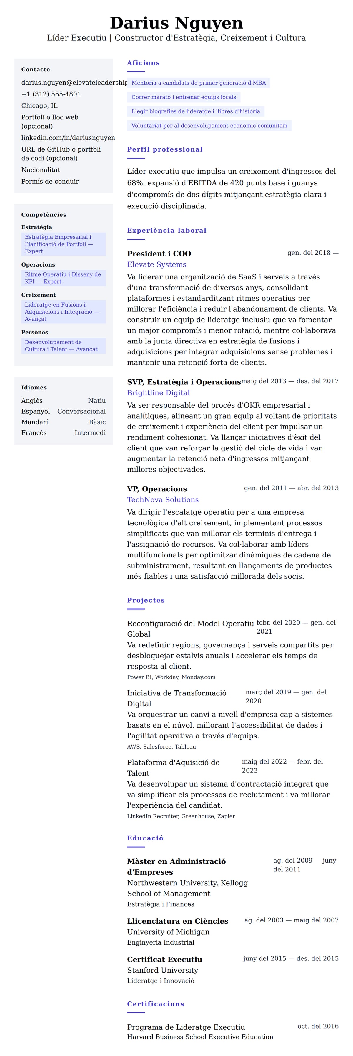 Previsualització del currículum per a Exemple de Currículum de Líder Executiu