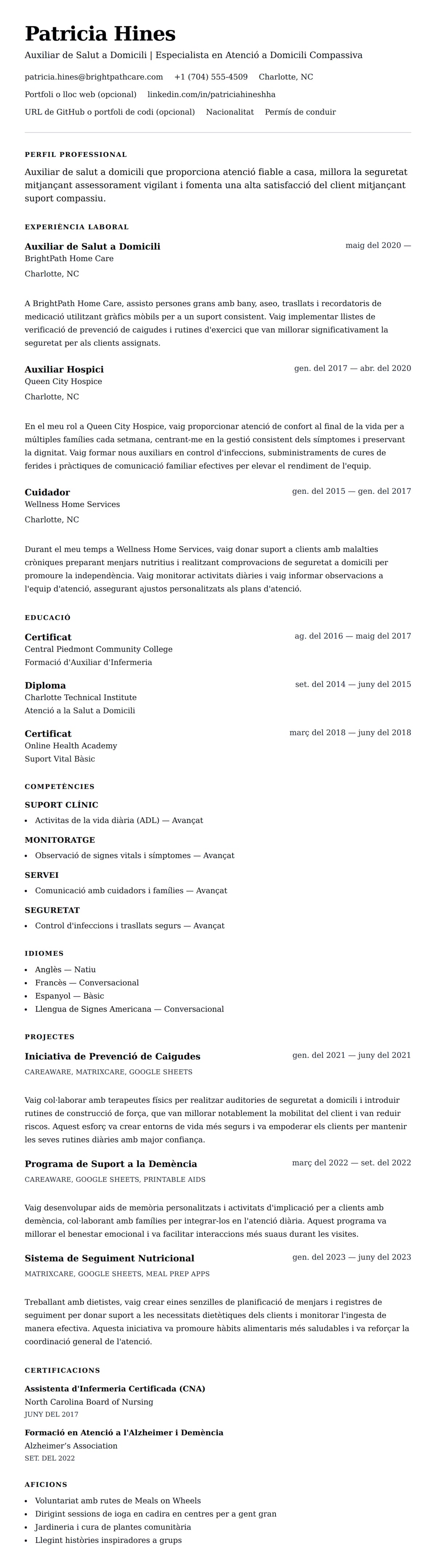 Previsualització del currículum per a Exemple de Currículum d'Auxiliar de Salut a Domicili