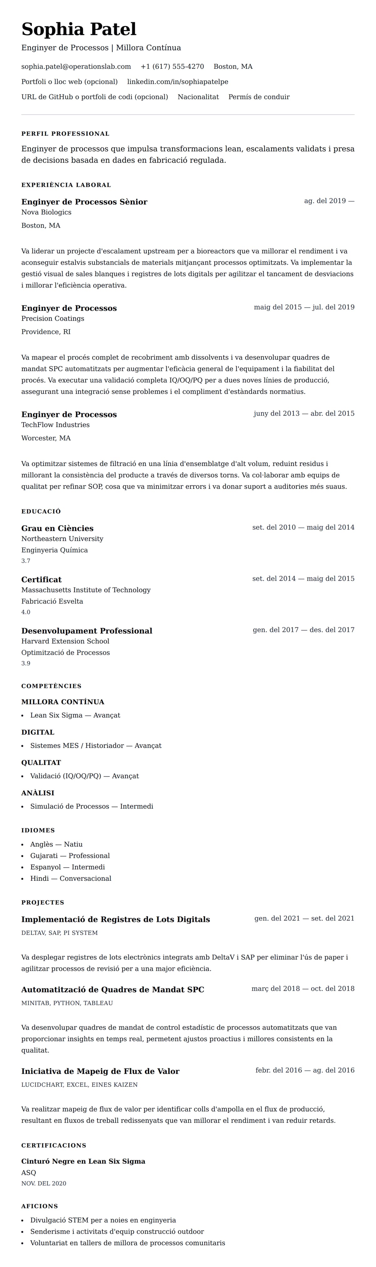 Previsualització del currículum per a Exemple de Currículum d'Enginyer de Processos