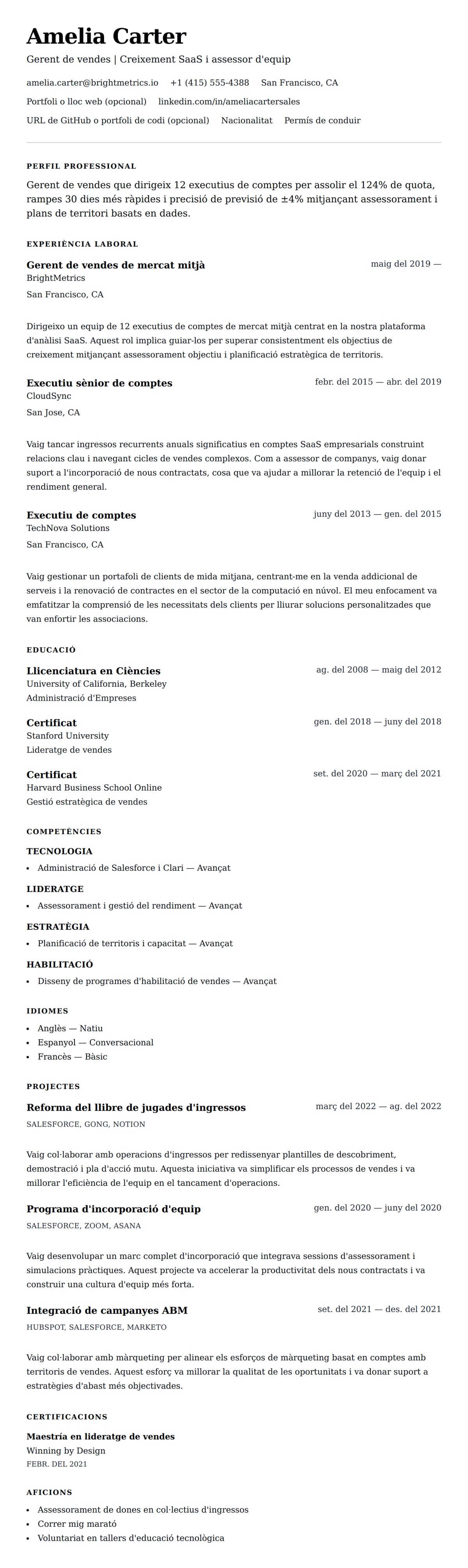 Previsualització del currículum per a Exemple de currículum de gerent de vendes