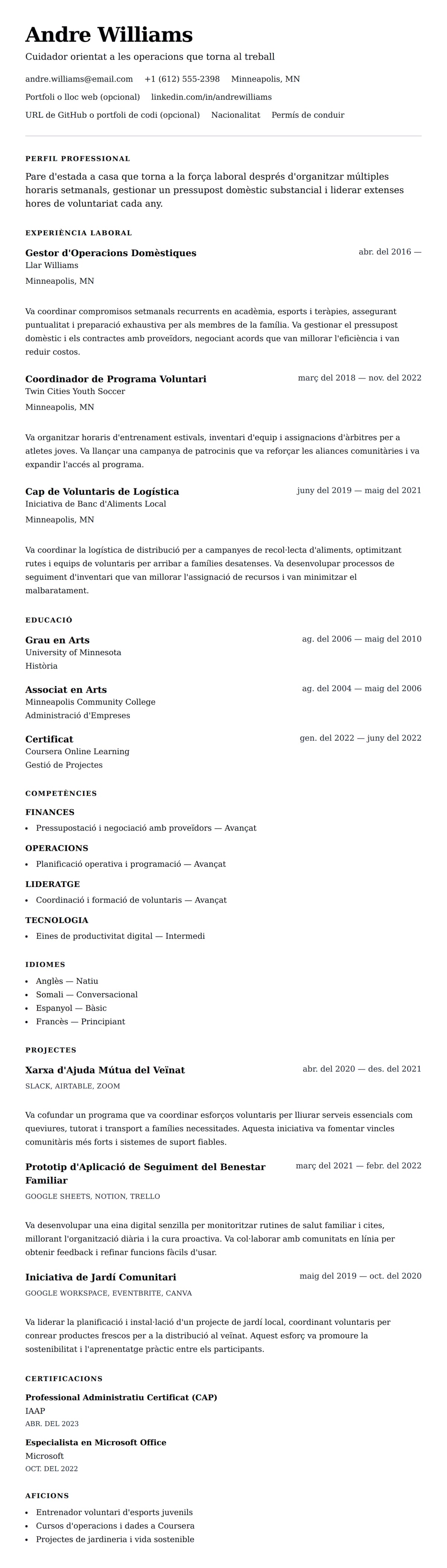 Previsualització del currículum per a Exemple de currículum de pare d'estada a casa
