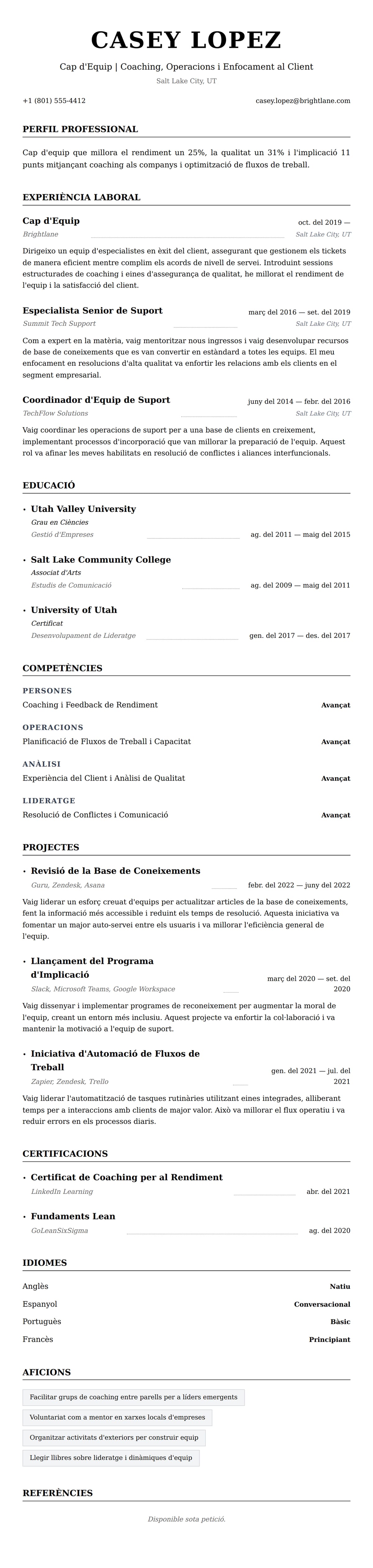 Previsualització del currículum per a Exemple de Currículum de Cap d'Equip