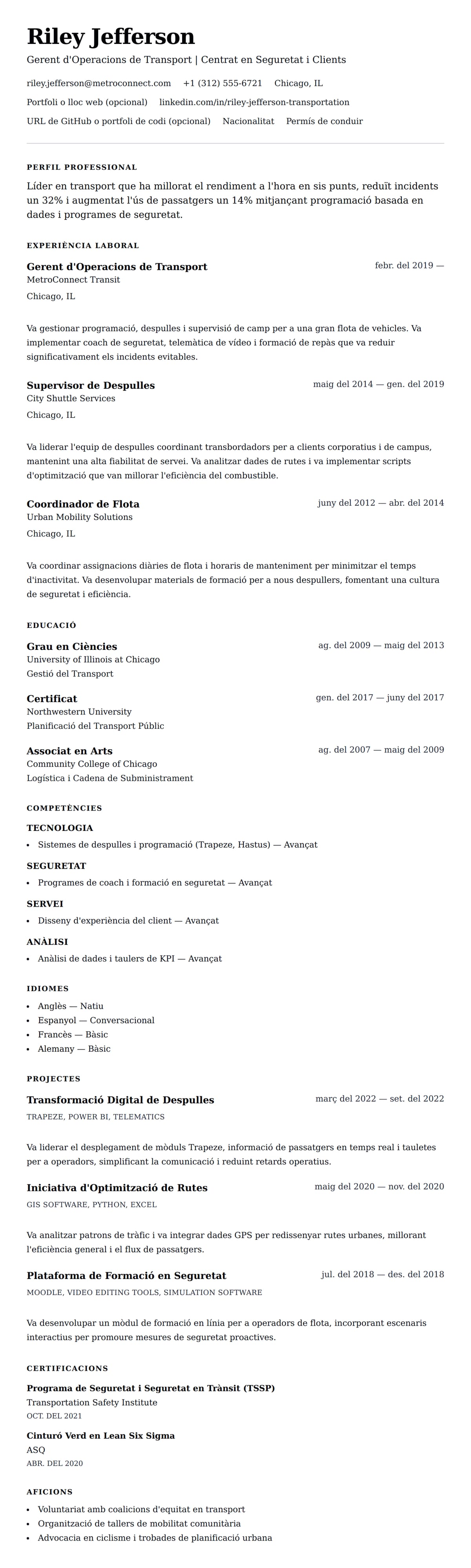 Previsualització del currículum per a Exemple de Currículum de Professional en Transport