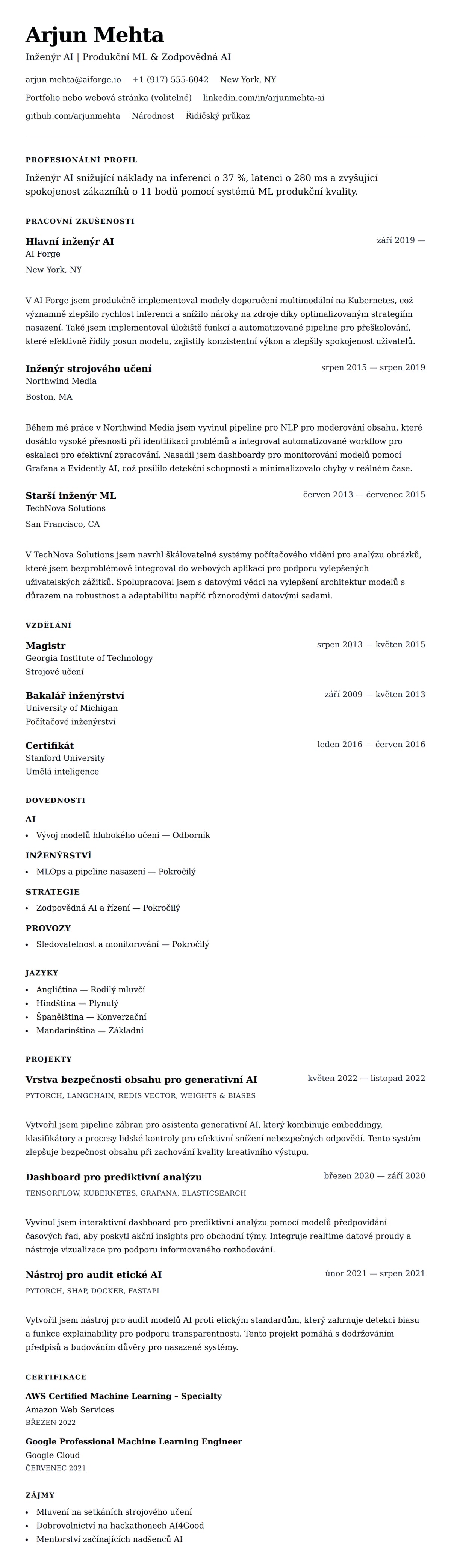 Náhled životopisu pro Příklad životopisu inženýra umělé inteligence