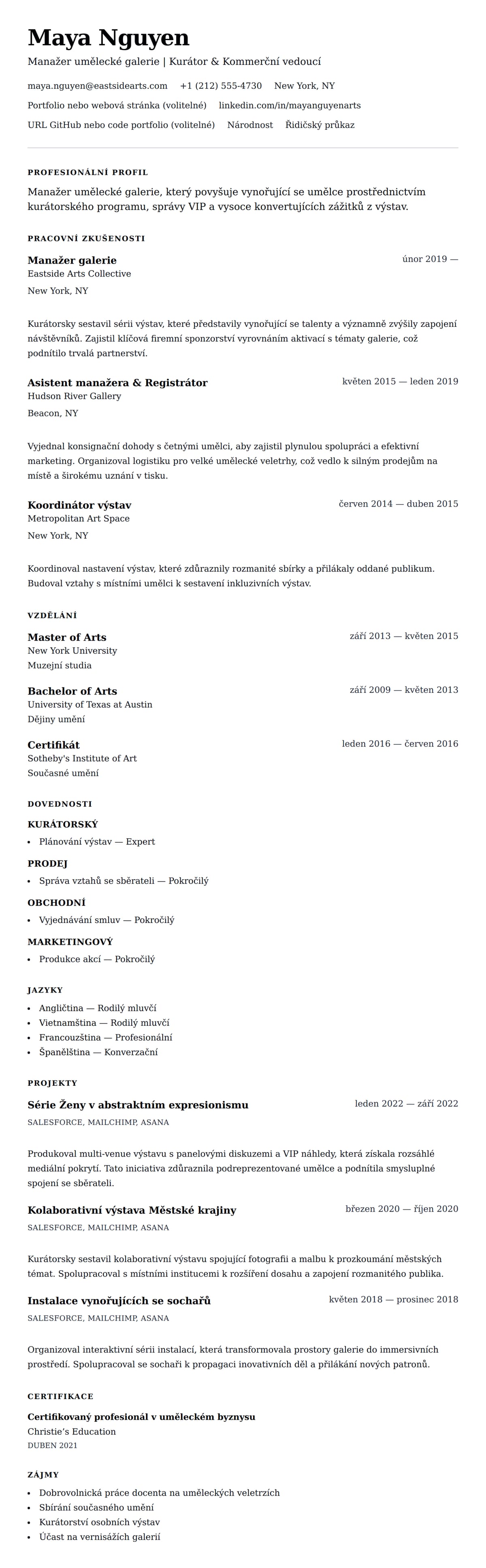 Náhled životopisu pro Příklad životopisu manažera umělecké galerie