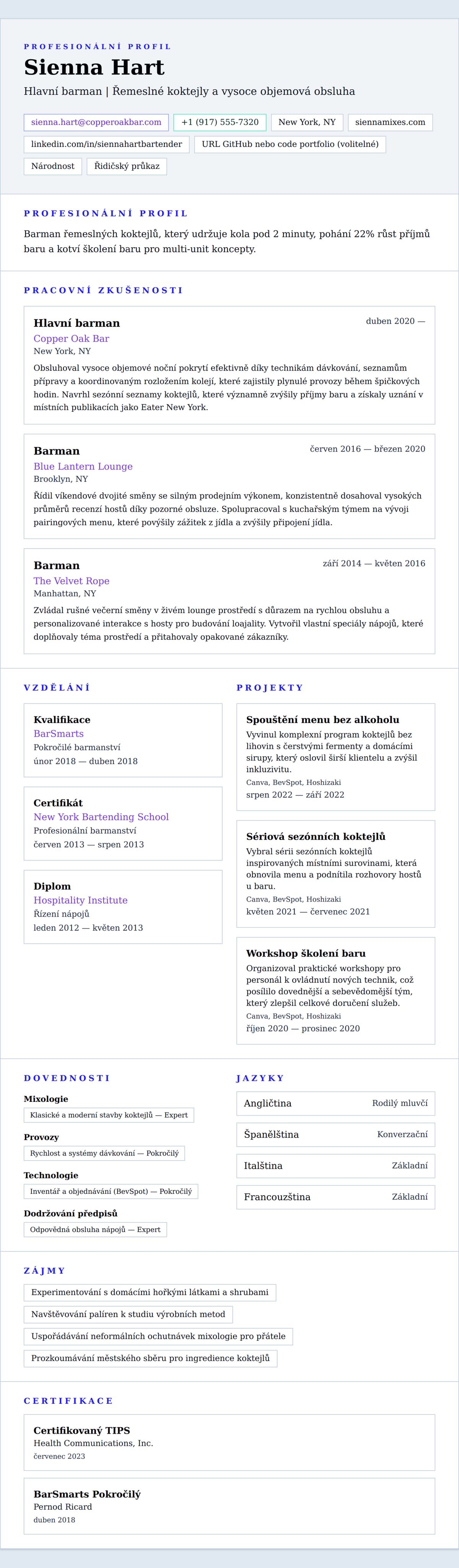 Náhled životopisu pro Příklad životopisu barmanký