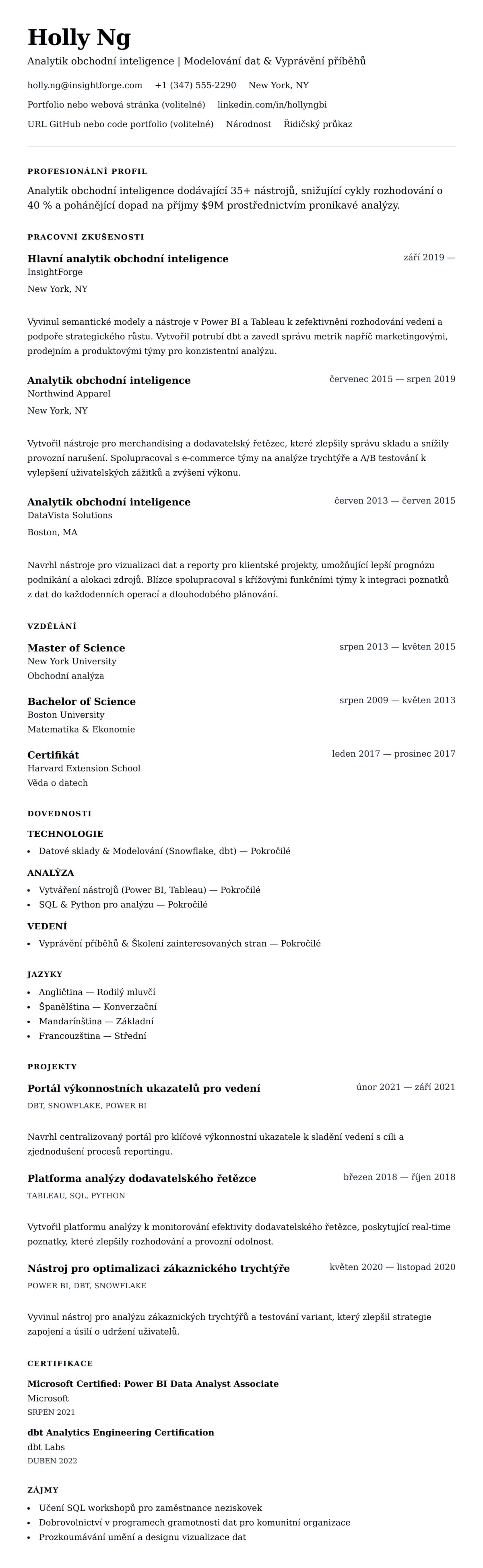 Náhled životopisu pro Příklad životopisu analytika obchodní inteligence