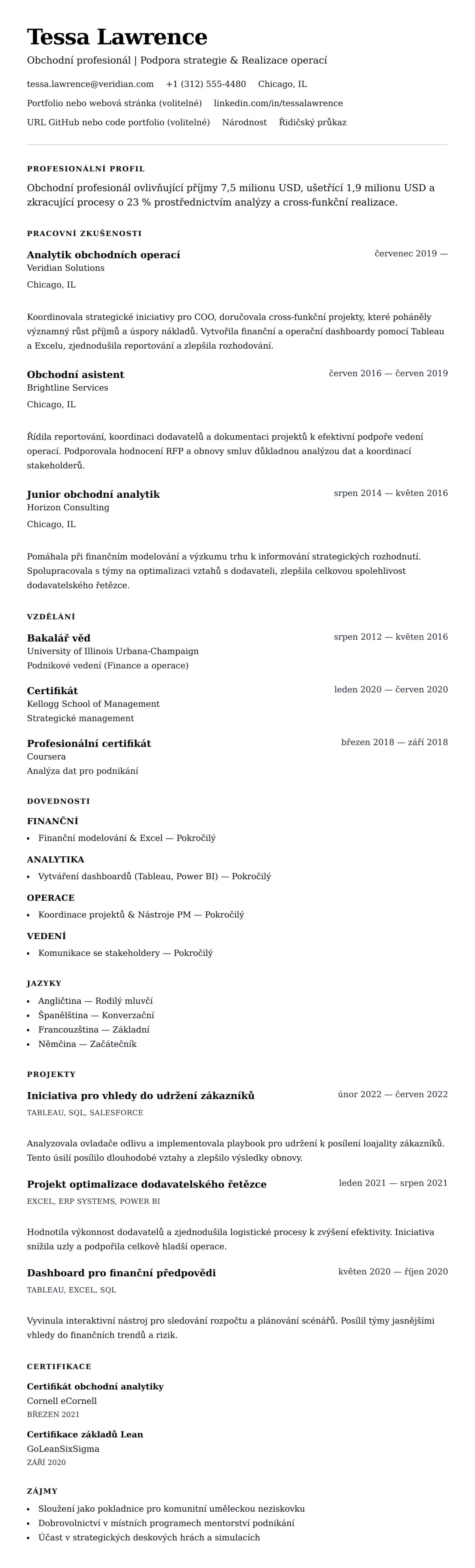 Náhled životopisu pro Příklad životopisu obchodního profesionála