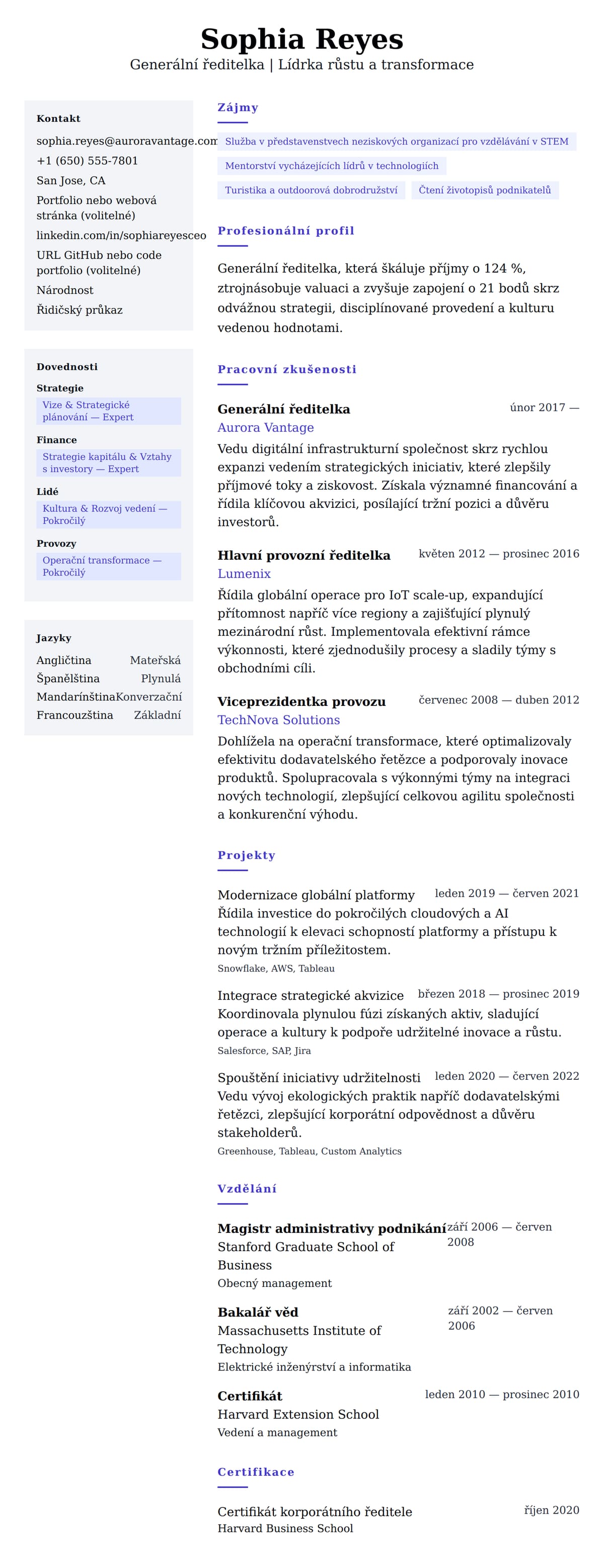 Náhled životopisu pro Příklad životopisu generálního ředitele