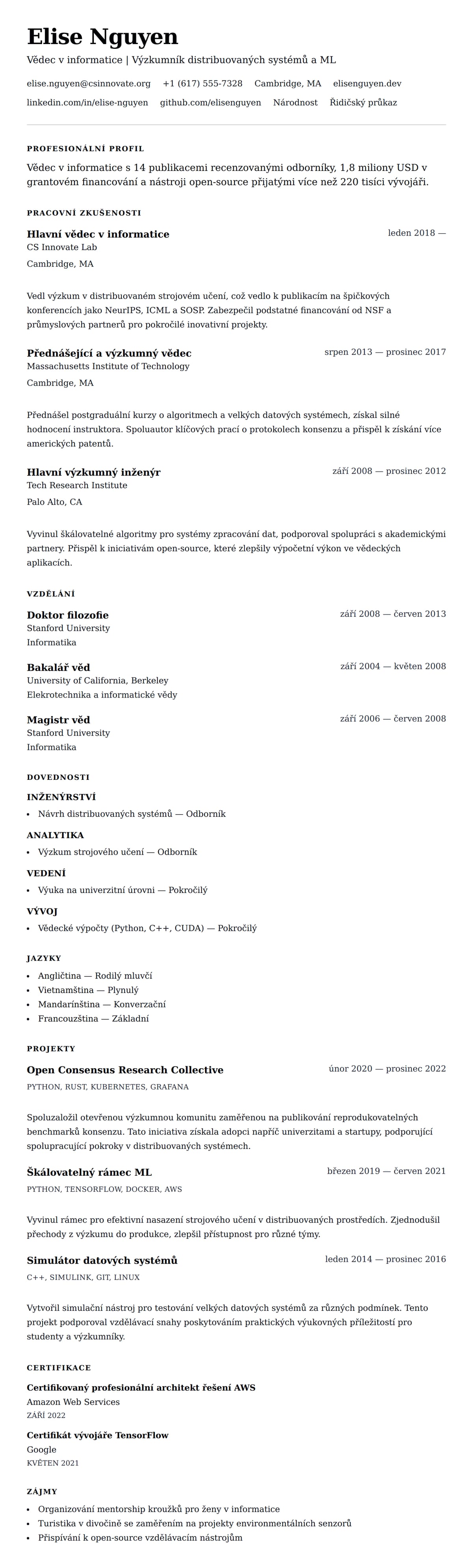 Náhled životopisu pro Příklad životopisu profesionála v informatice