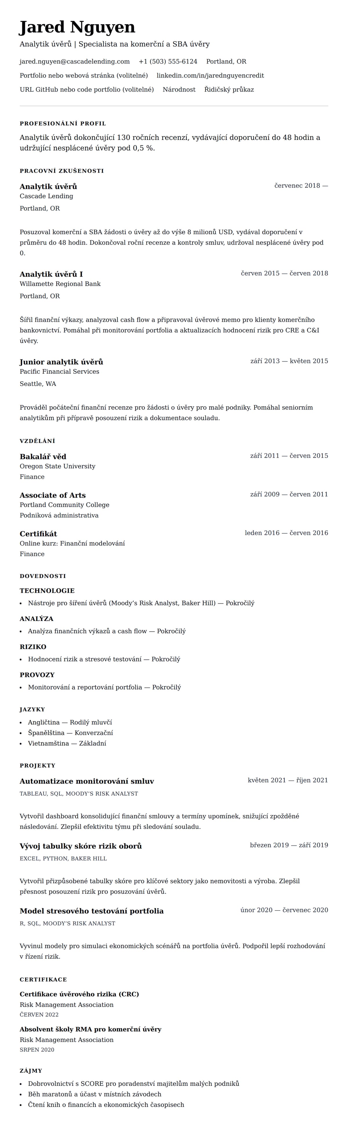 Náhled životopisu pro Příklad životopisu analytika úvěrů