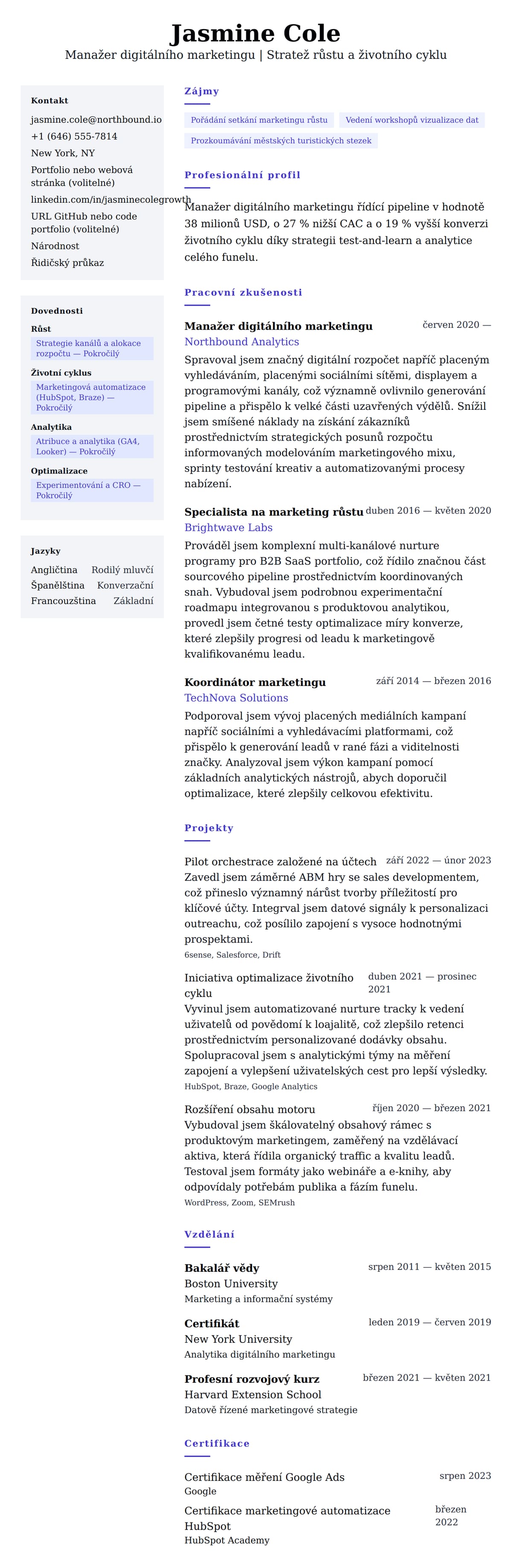 Náhled životopisu pro Příklad životopisu Manažera digitálního marketingu