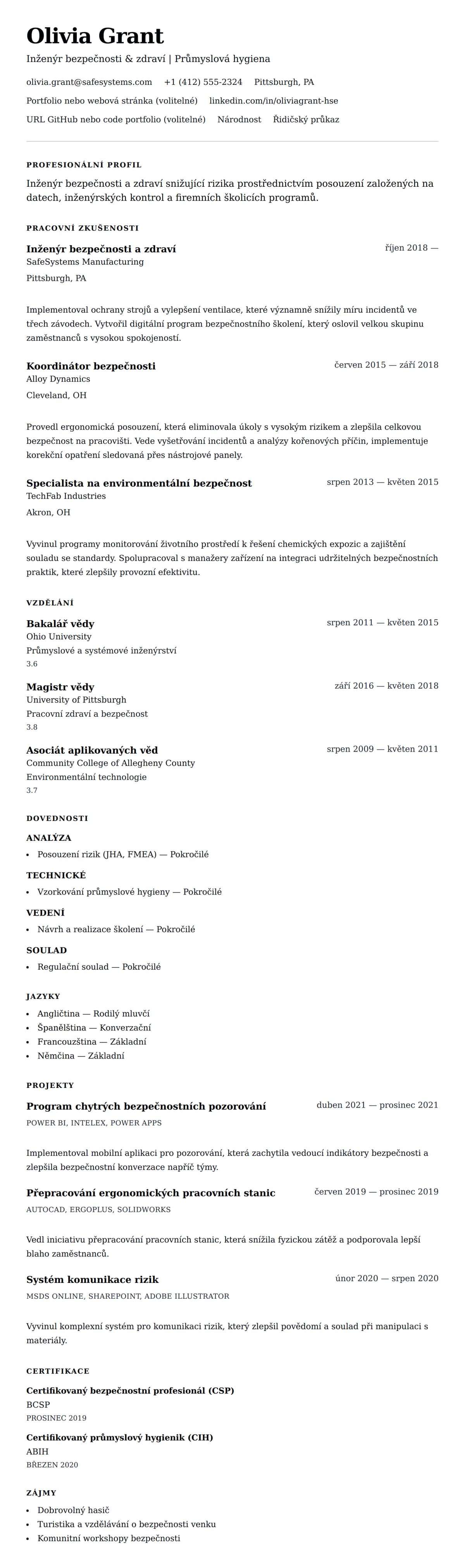 Náhled životopisu pro Příklad životopisu inženýra pro bezpečnost a zdraví