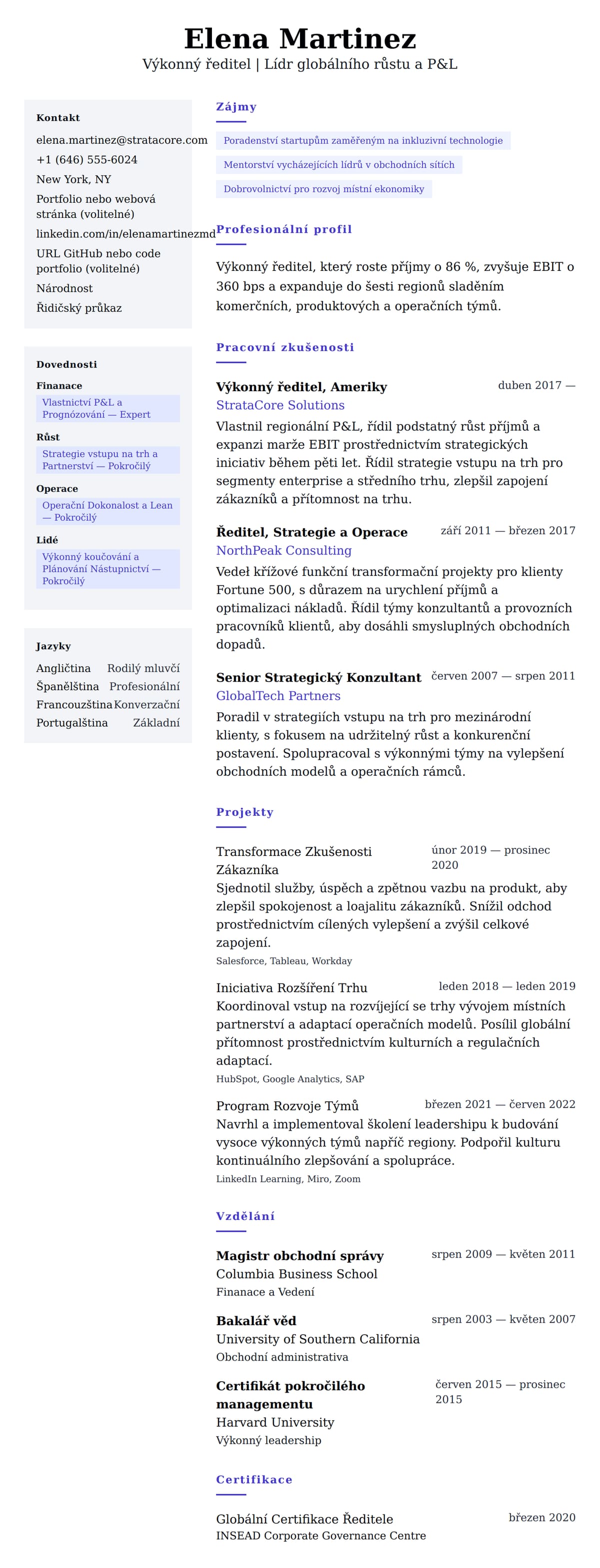 Náhled životopisu pro Příklad životopisu Výkonného ředitele