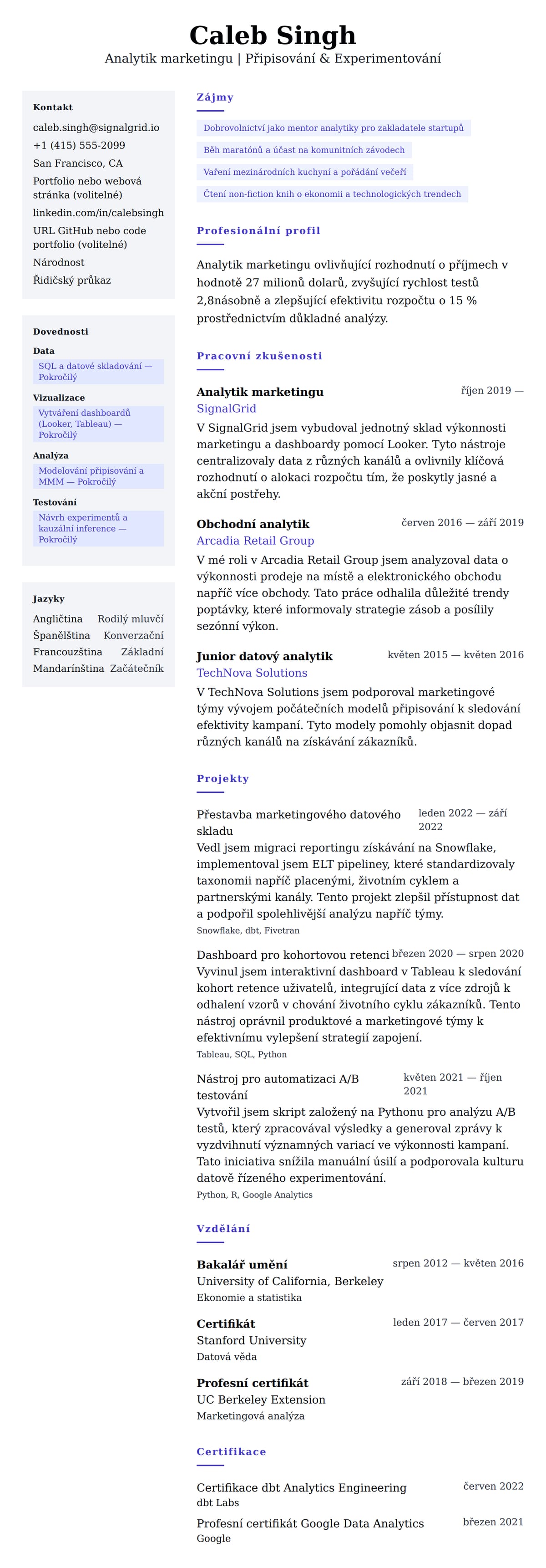 Náhled životopisu pro Příklad životopisu analytika marketingu