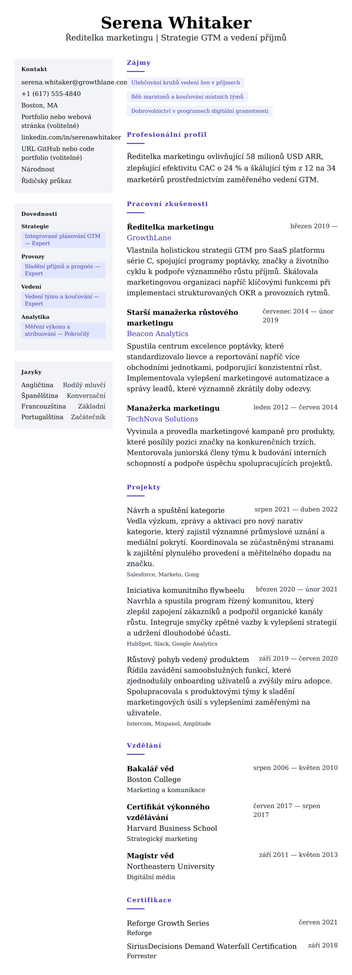 Náhled životopisu pro Příklad životopisu ředitele marketingu