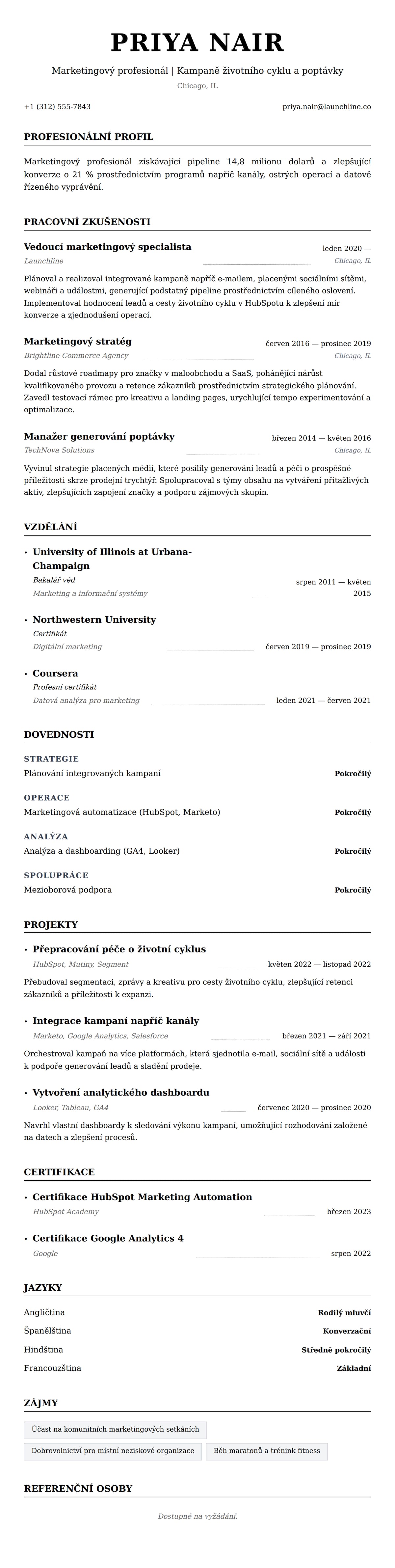 Náhled životopisu pro Příklad životopisu marketingového profesionála