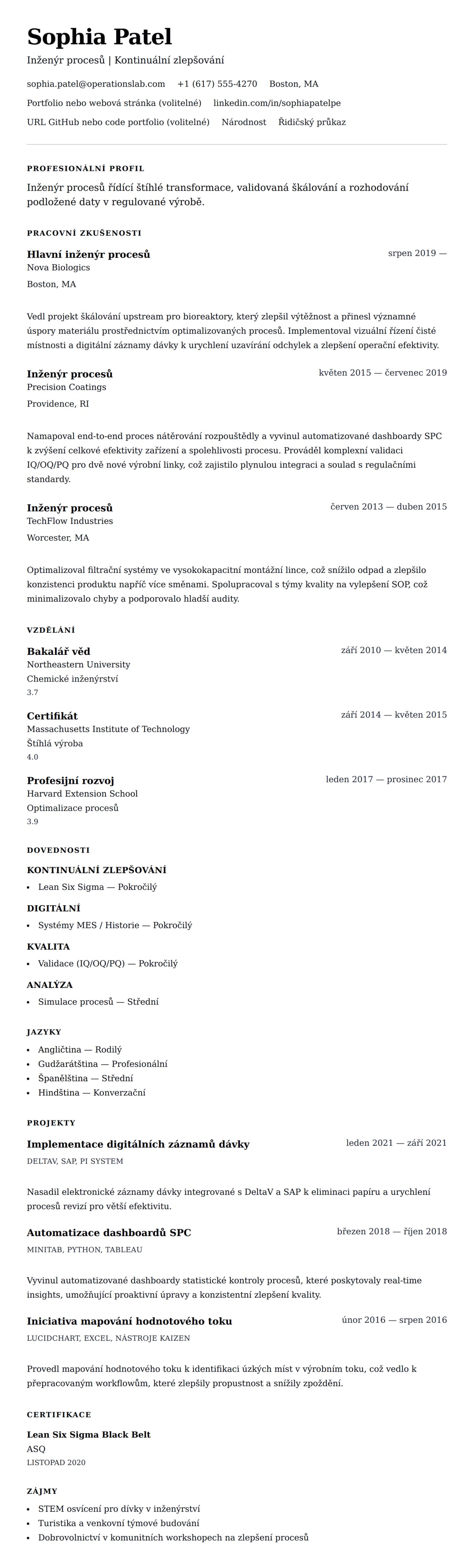 Náhled životopisu pro Příklad životopisu inženýra procesů