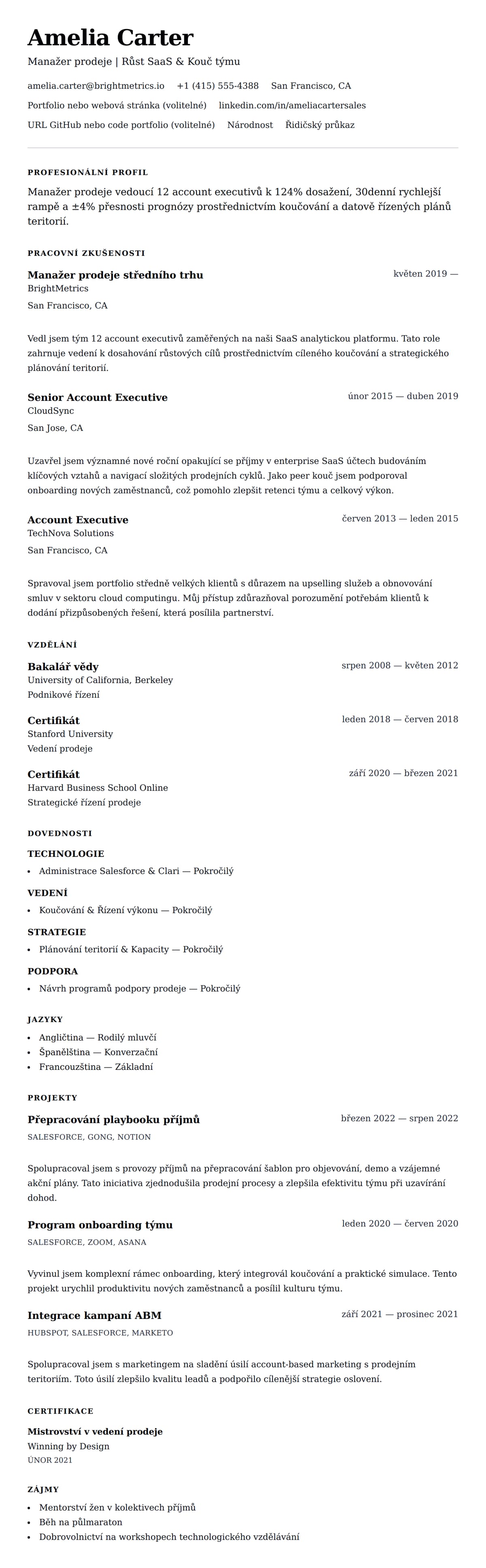 Náhled životopisu pro Příklad životopisu manažera prodeje