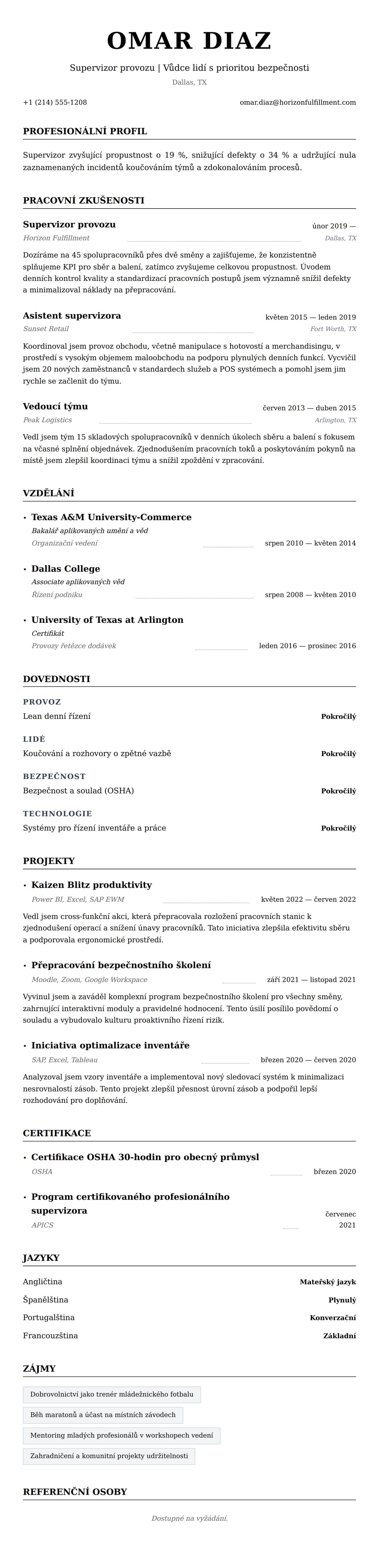 Náhled životopisu pro Příklad životopisu supervizora